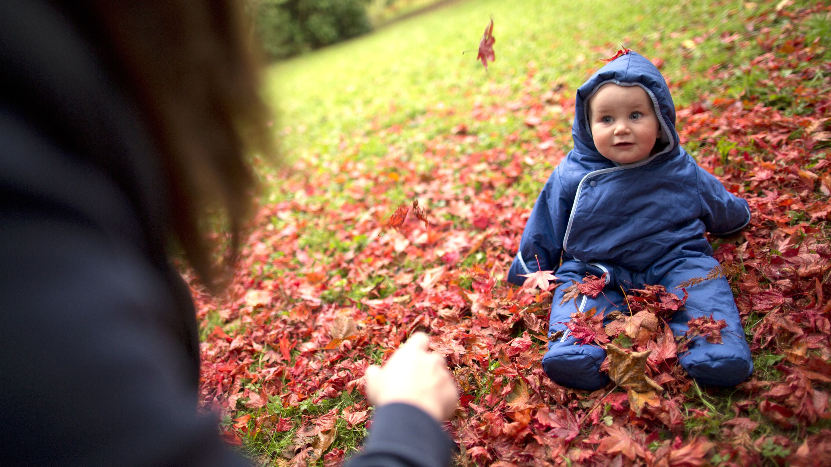 A small child sitting amongst fallen autumn leaves