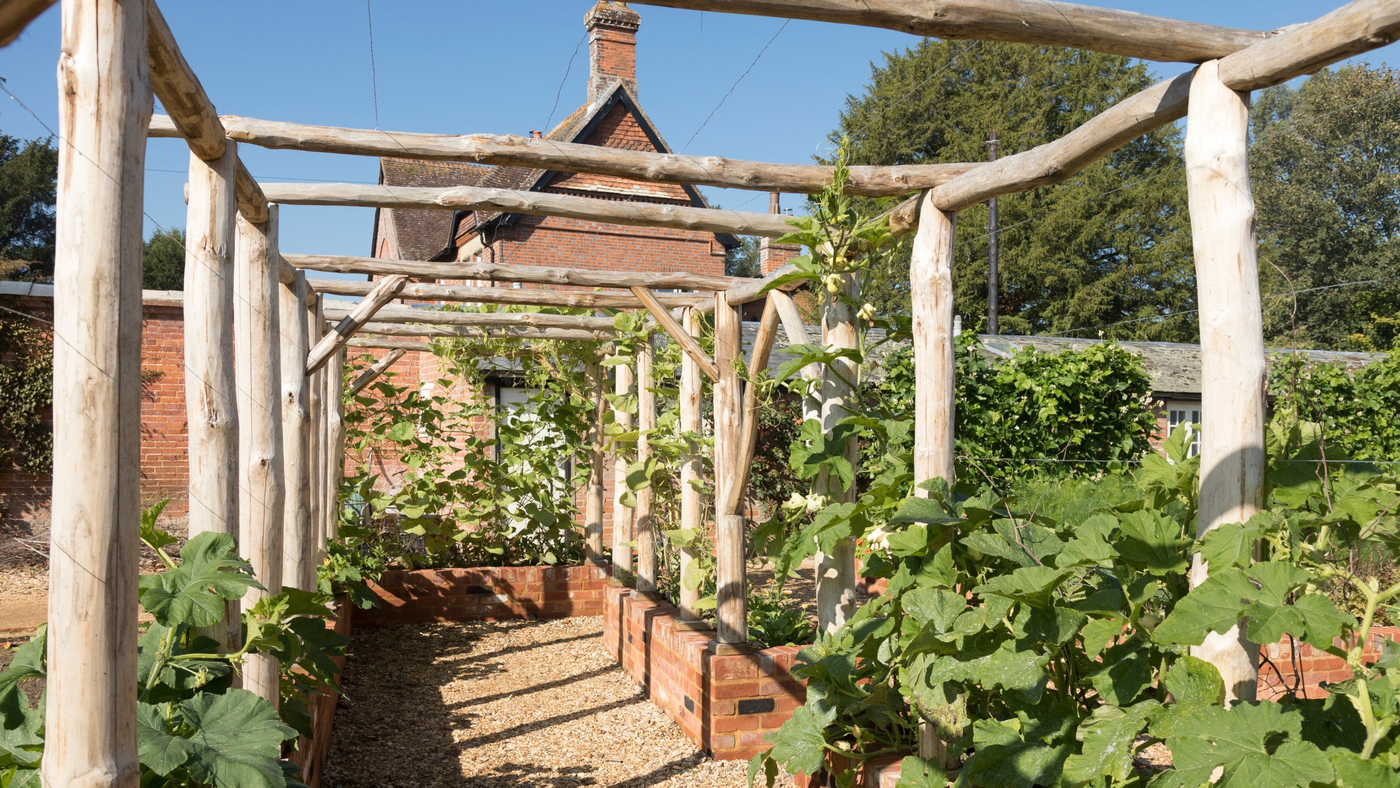 Wooden pergolas run the length of a path with brick-built raised beds on both sides in the kitchen garden at Mottisfont, Hampshire