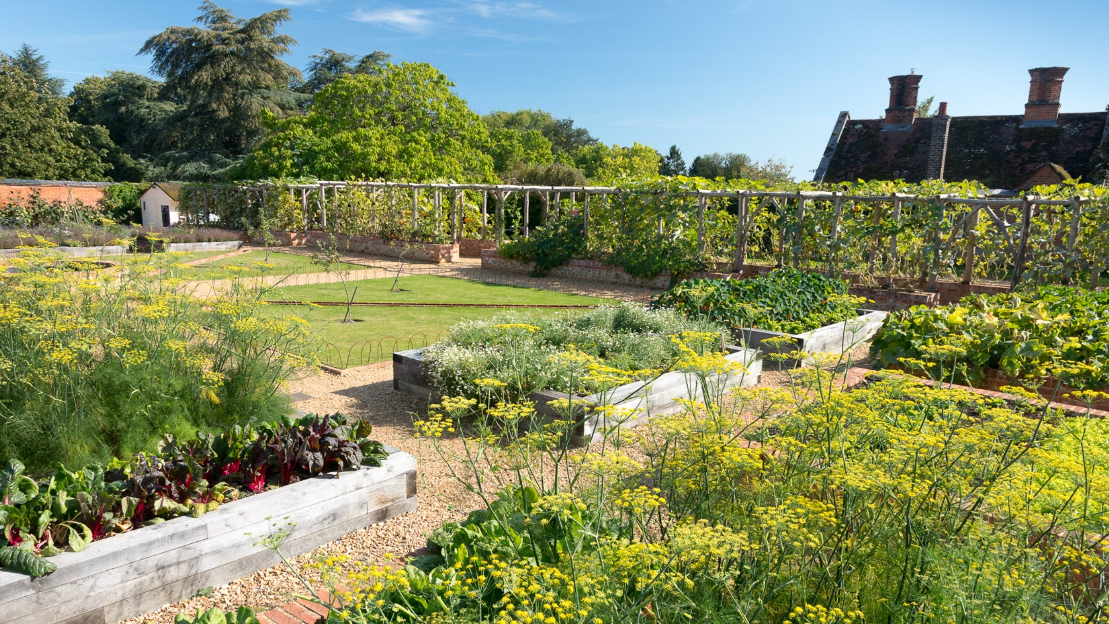 Walled kitchen garden at Mottisfont showing raised beds and long wooden pergolas with house in background