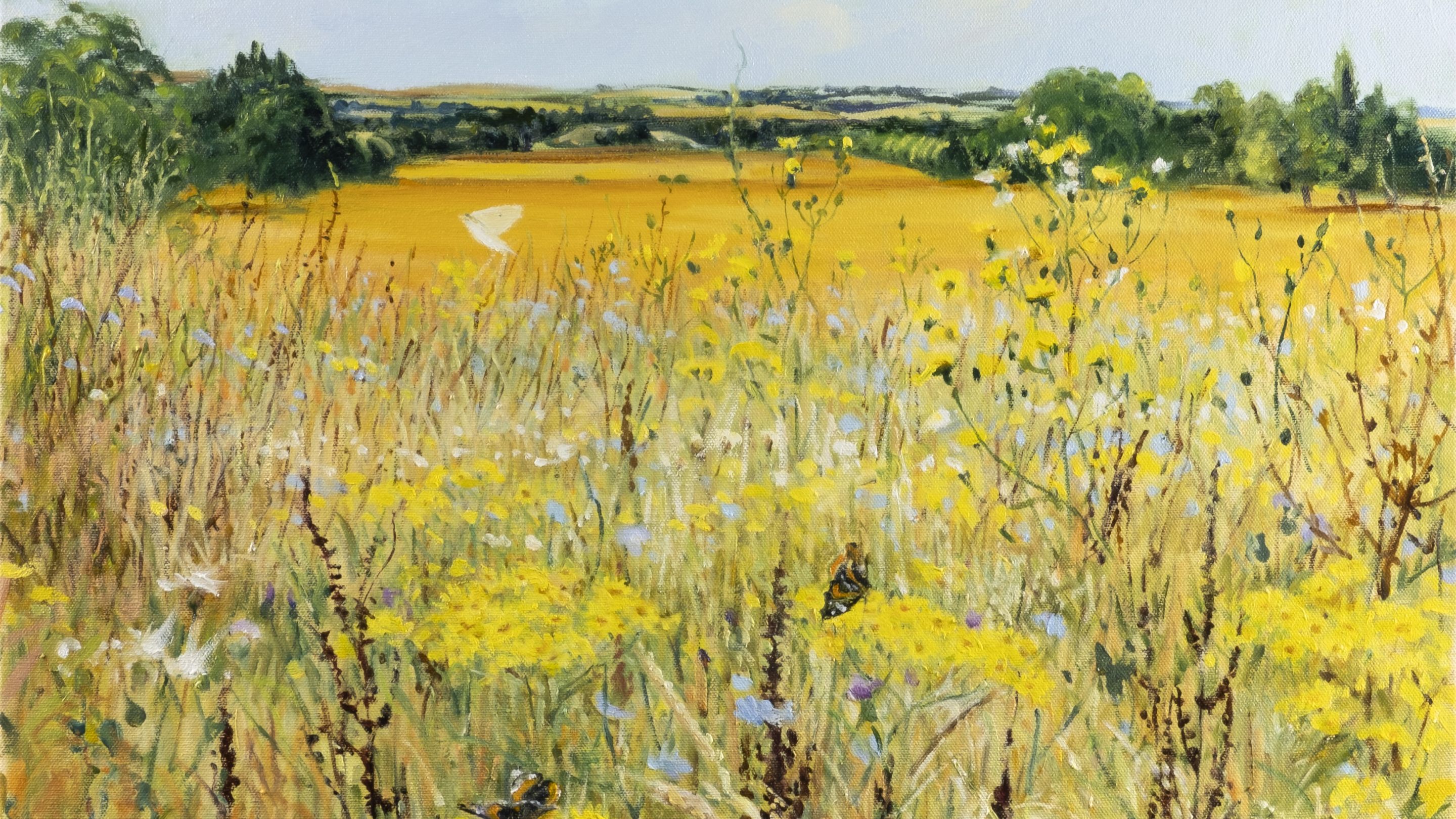 A painting of a wildflower meadow in summer