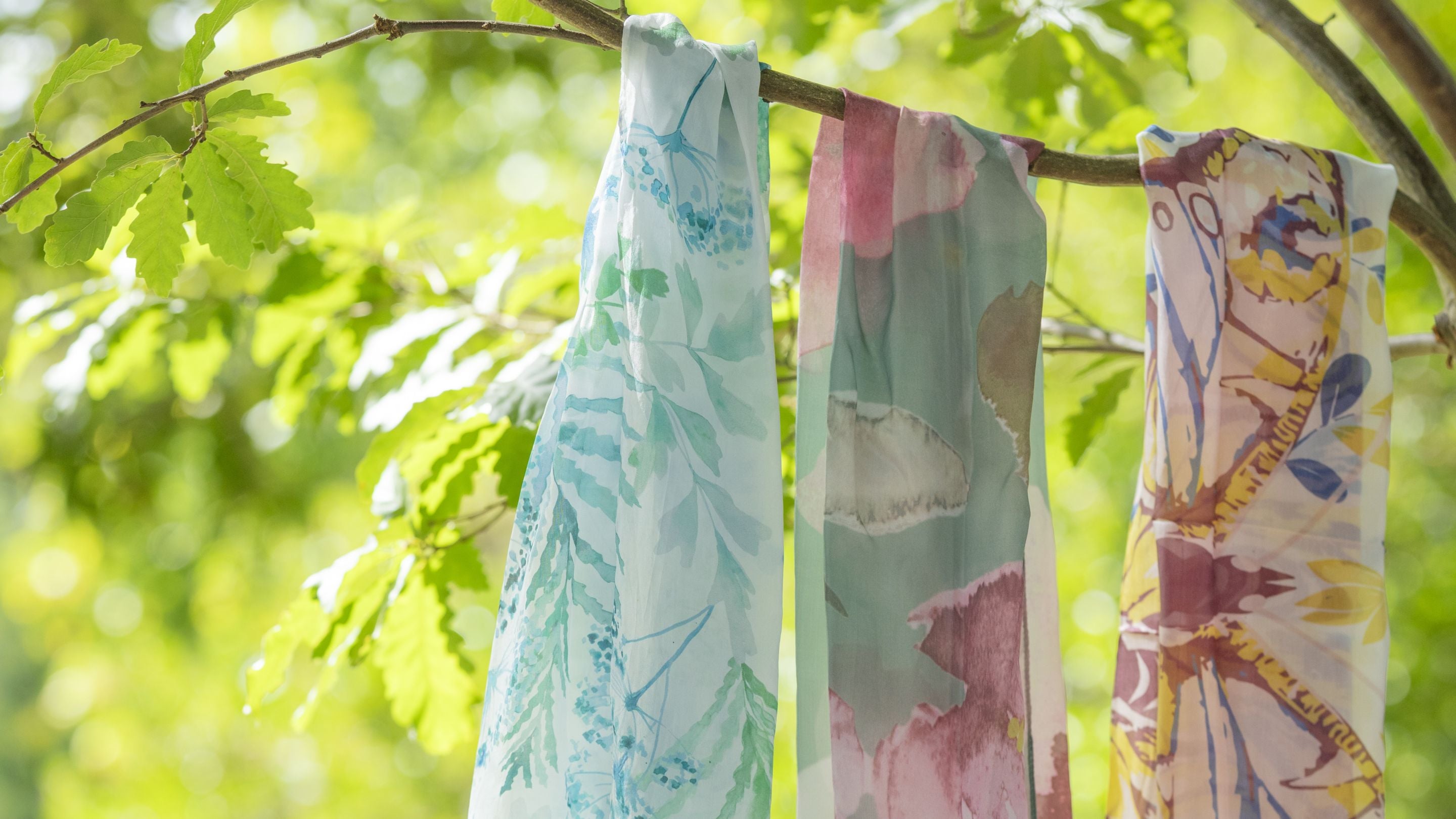 3 silk scarves hanging from the branch of a young oak tree in spring