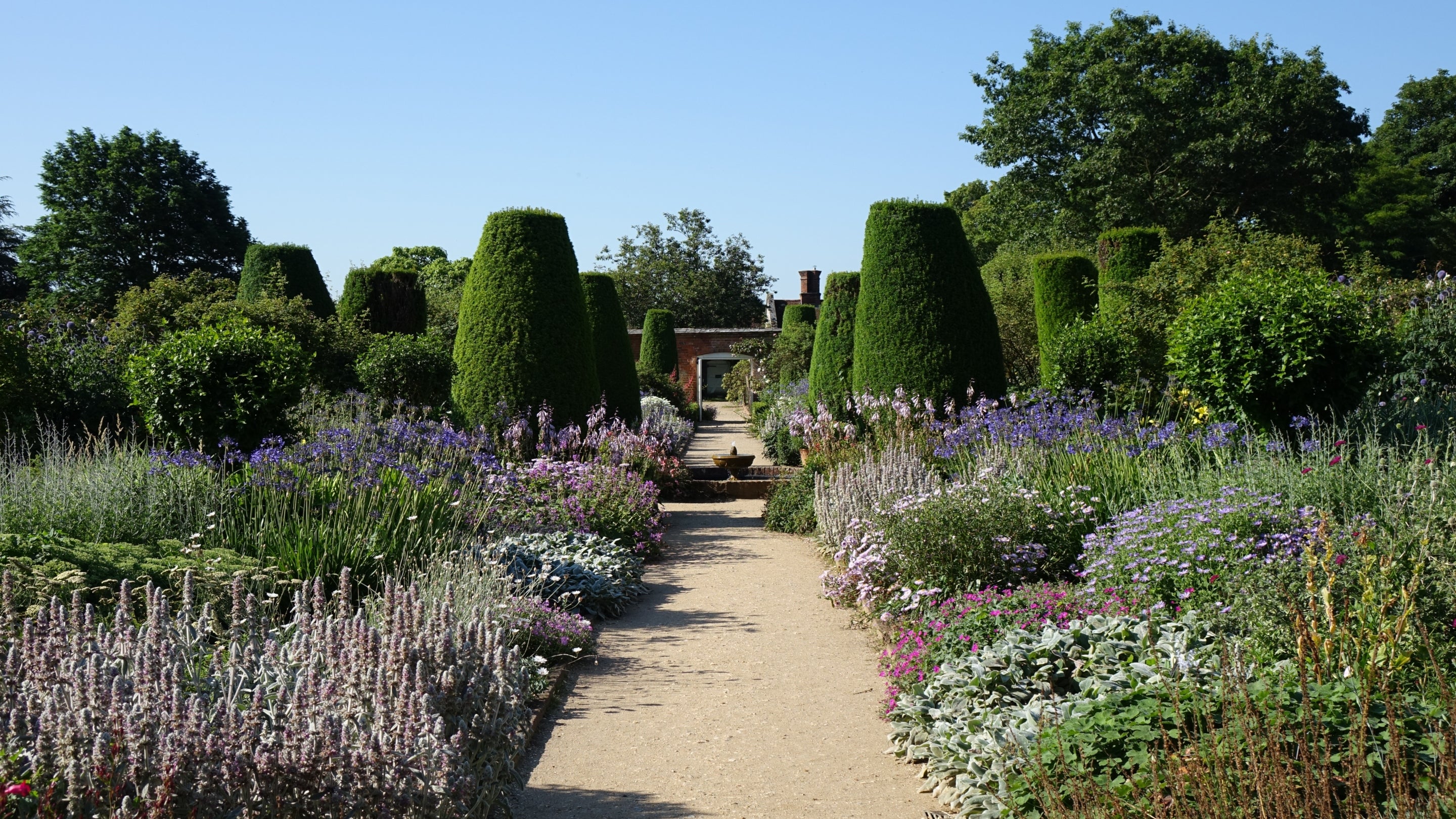 Summer flowers blooming in the herbaceous borders of the walled gardens at Mottisfont, Hampshire