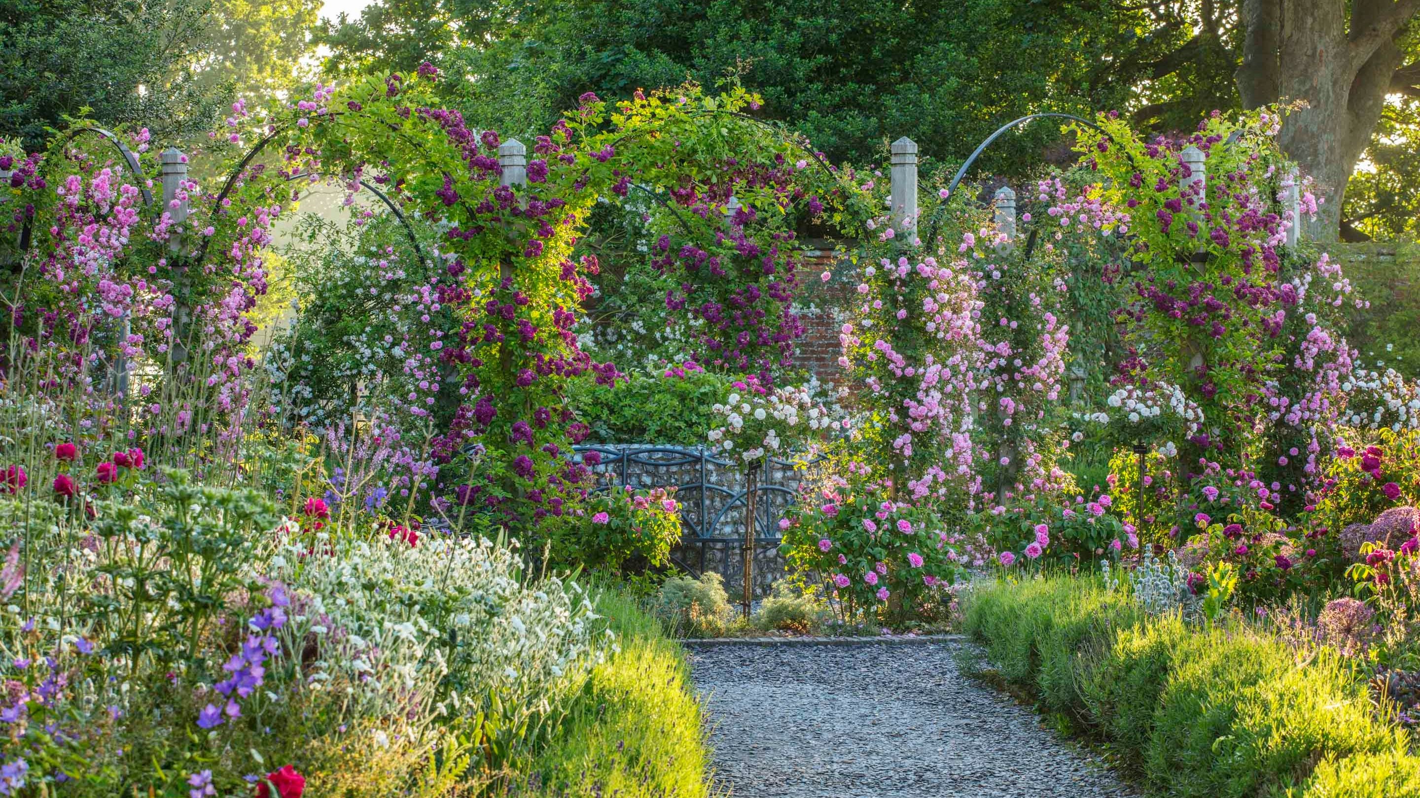 The Rose Garden in June, with red, pink and purple roses, at Mottisfont, Hampshire