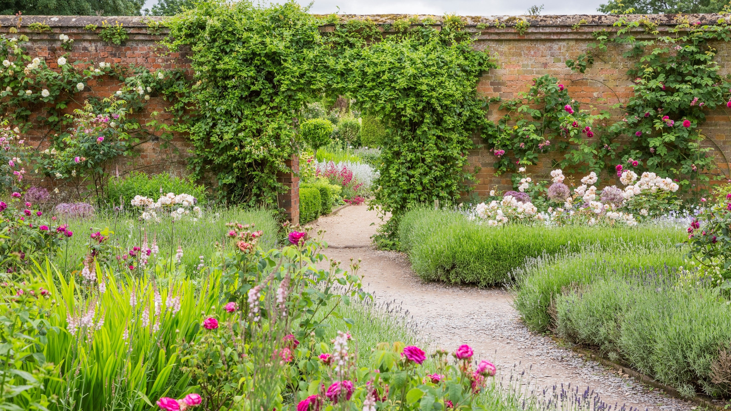 Slate footpath runs between two flower beds and leads through a garden arch. pink roses and lavendar full the flower beds with colour.