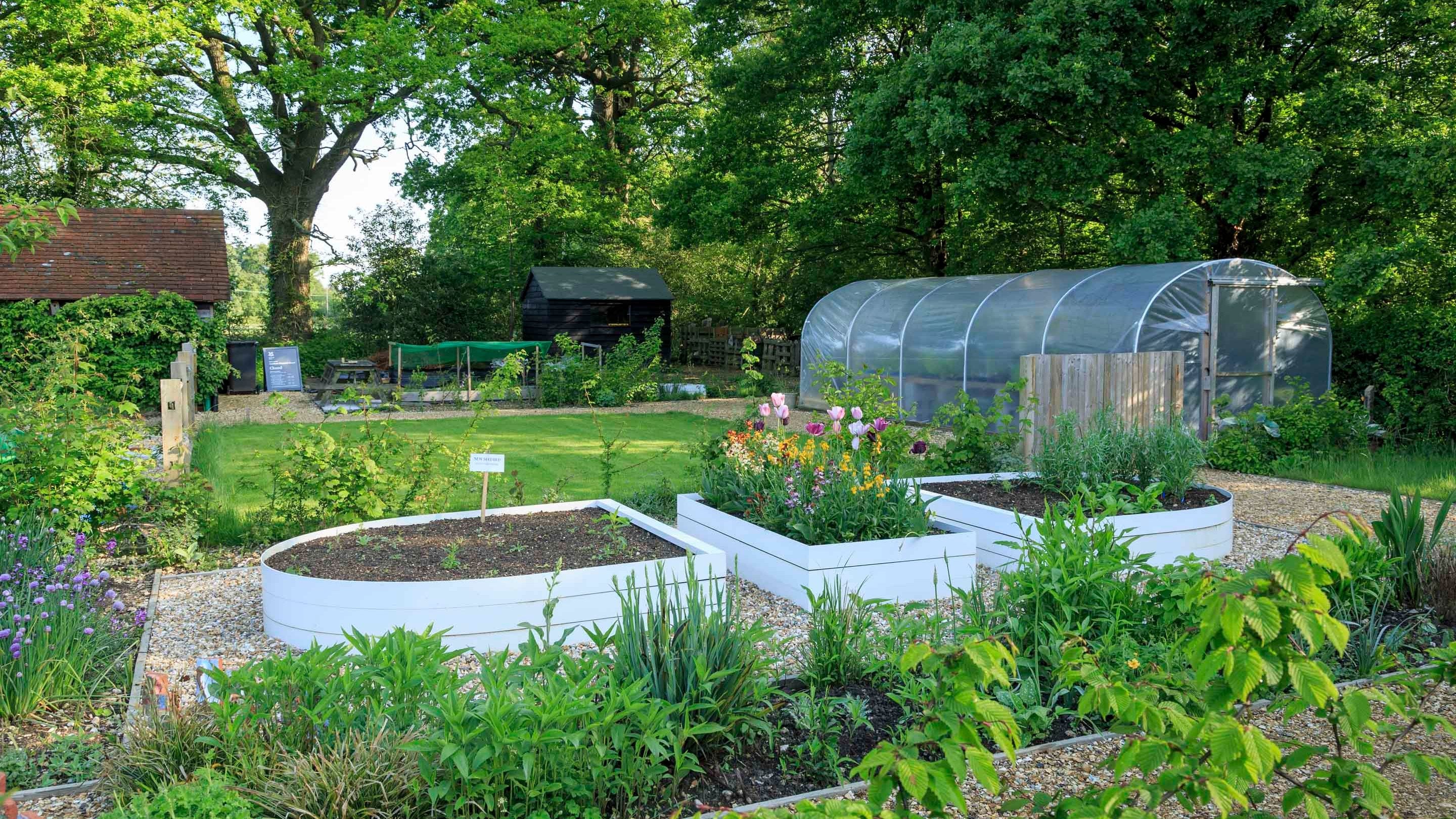 Raised beds containing flowers, and a greenhouse, next to a lawn with trees alongside, in the reflection garden in May at Sandham Memorial Chapel, Hampshire
