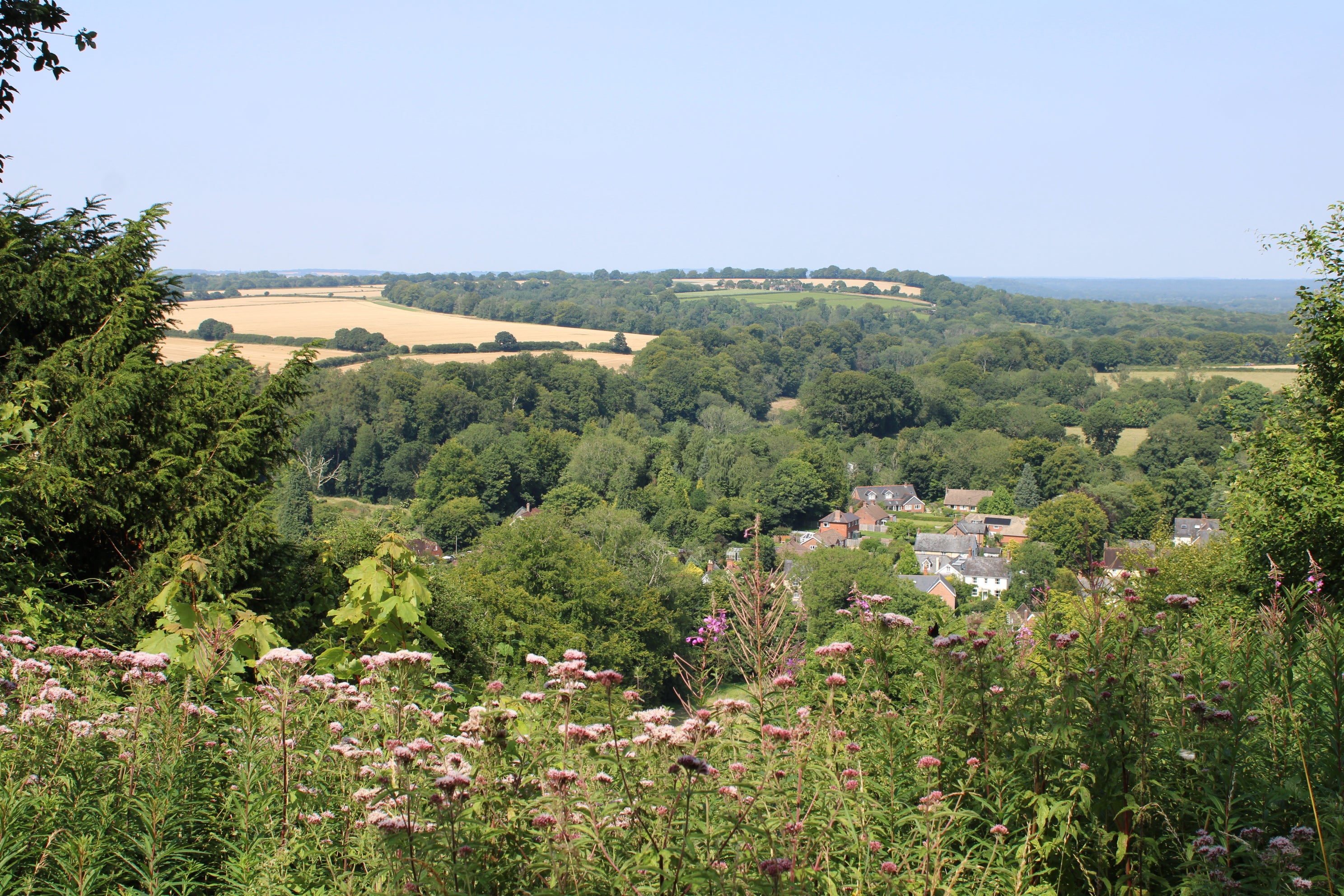 View from a hillside overlooking a village nestled among dense green woodland, with pink wildflowers in the foreground and patchwork fields stretching across the rolling countryside under a clear summer sky.