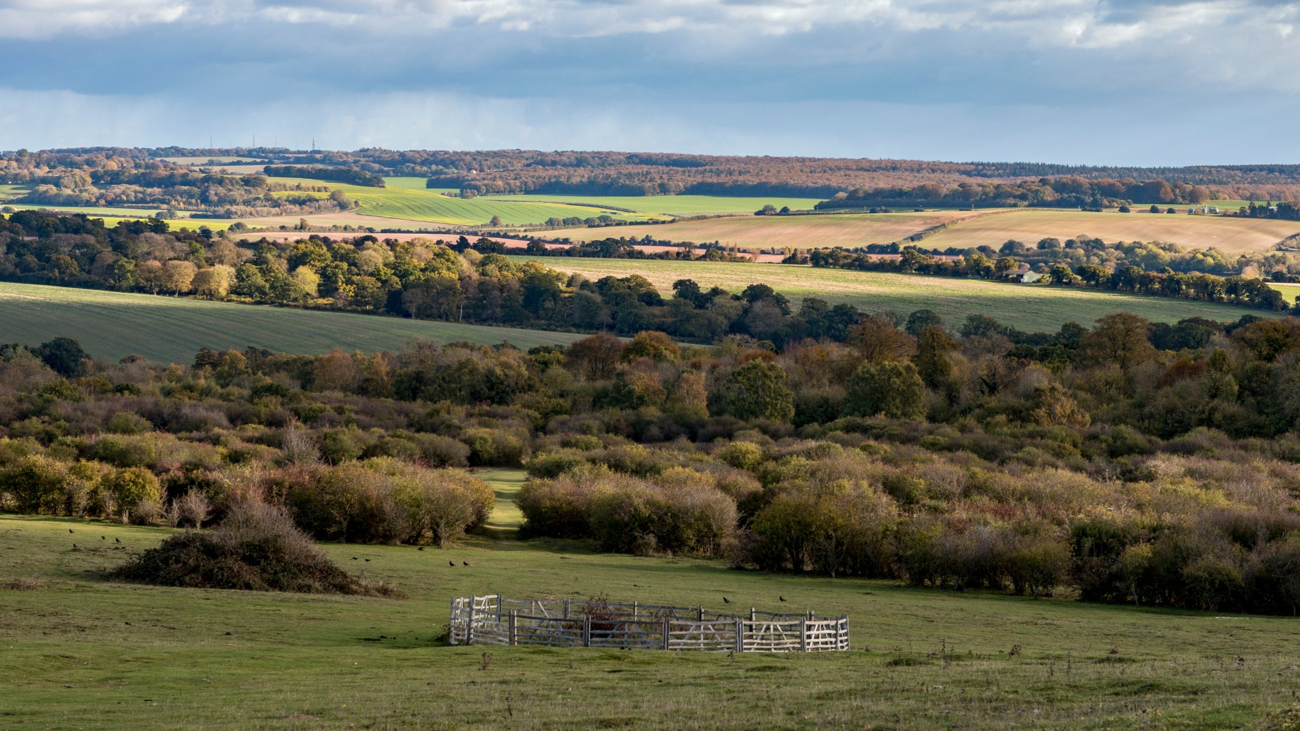 Looking down over downland with fields and wooded scrub in the distance and a fenced Bronze Age burial mound in the foreground
