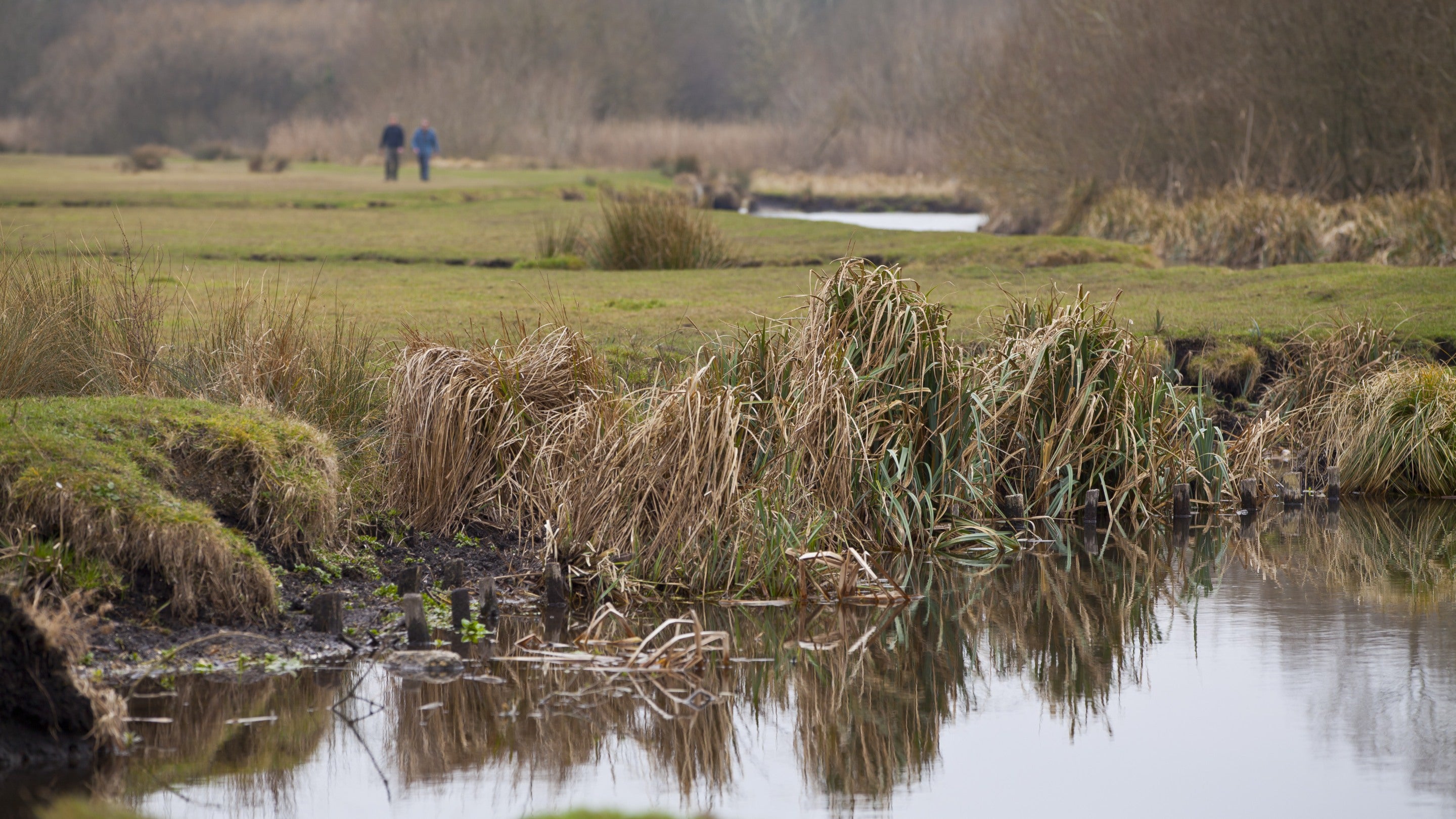 People in the distance walking beside the River Test at Stockbridge Marsh, Hampshire