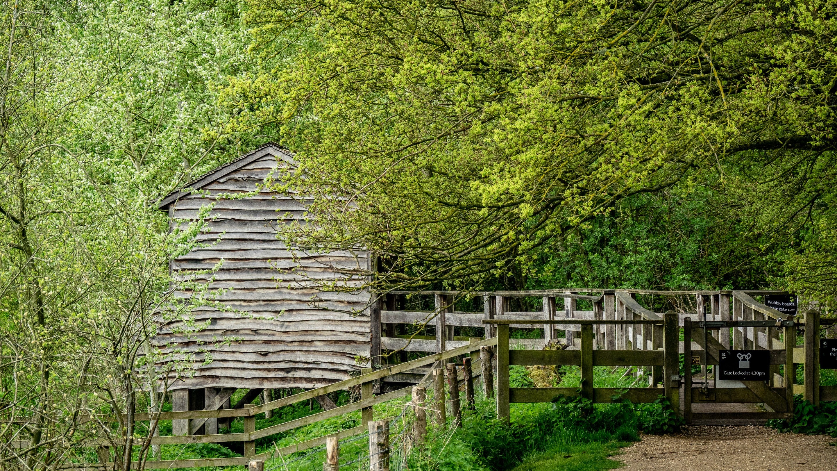 A view of The Vyne's birdhide on the edge of Morgaston Woods in spring.