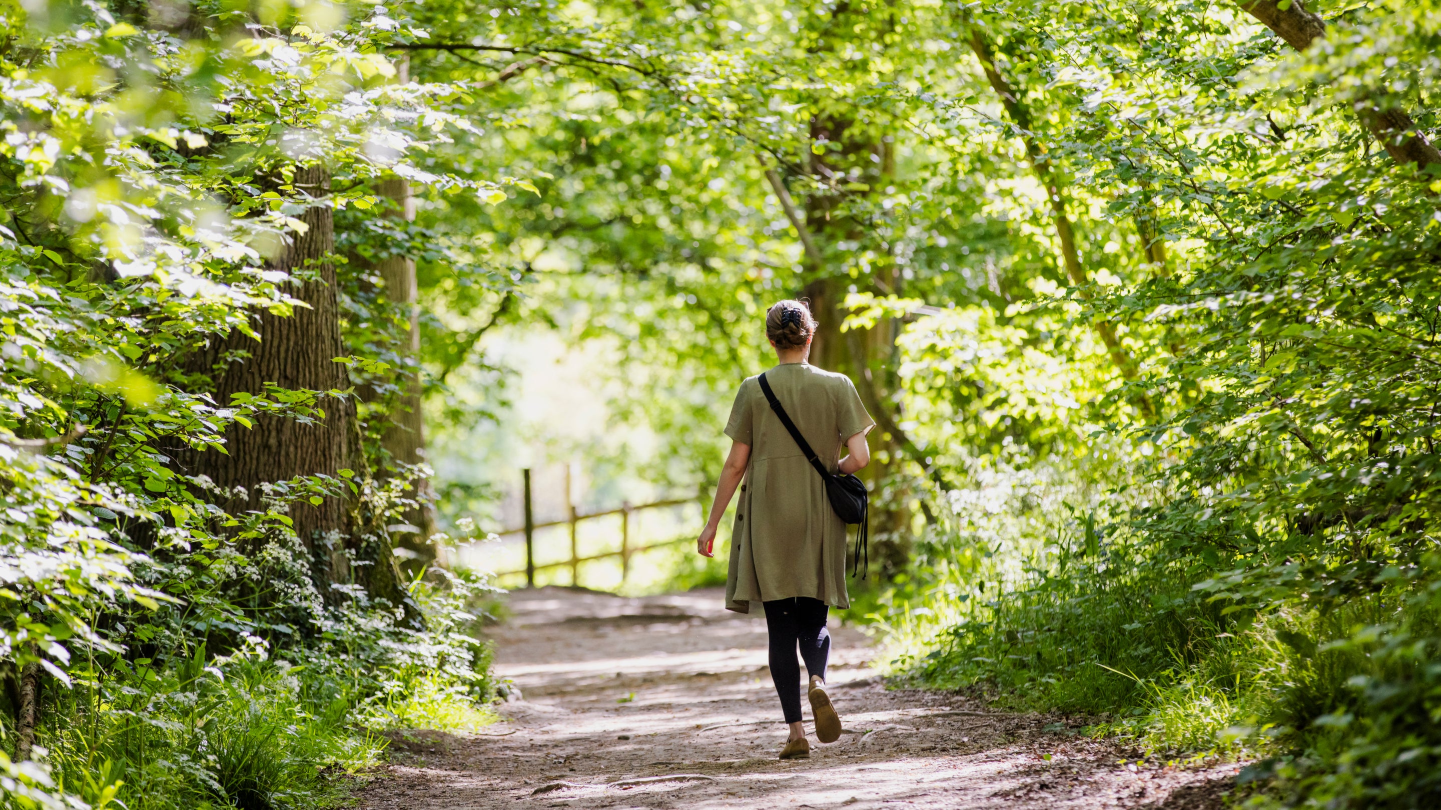 A visitor explores Morgaston Woods at The Vyne.