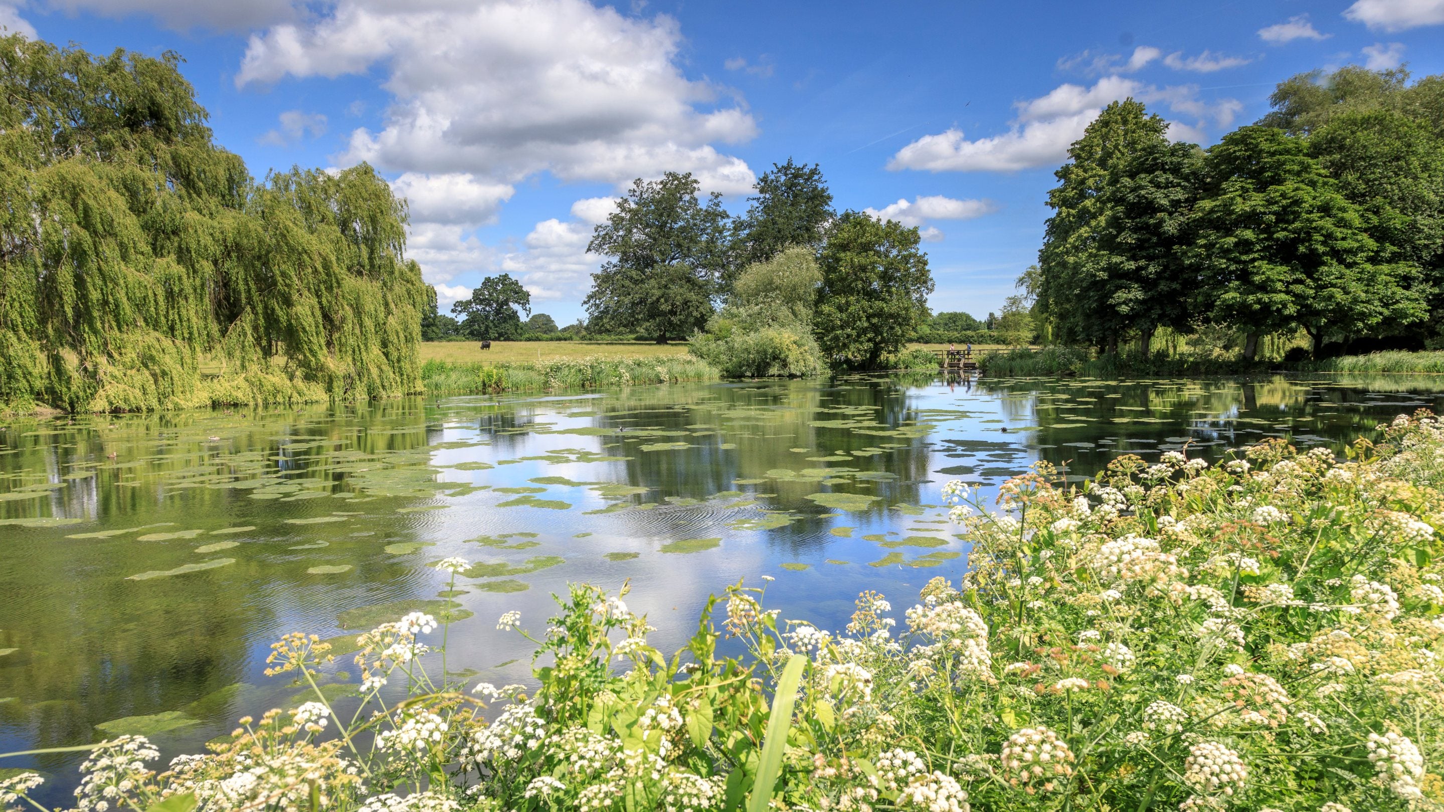 The Lake in summer at the Vyne, Hampshire