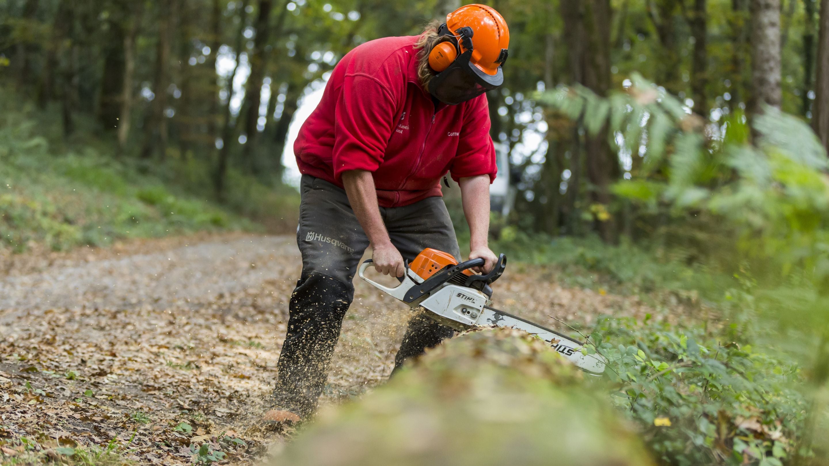 A Volunteer Firewood Ranger uses an electric saw on a fallen tree.