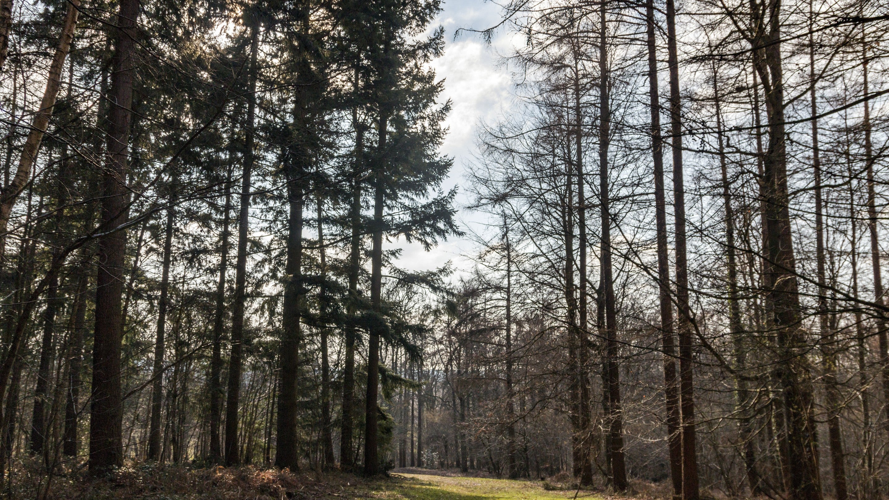 The Vyne | Hampshire | National Trust