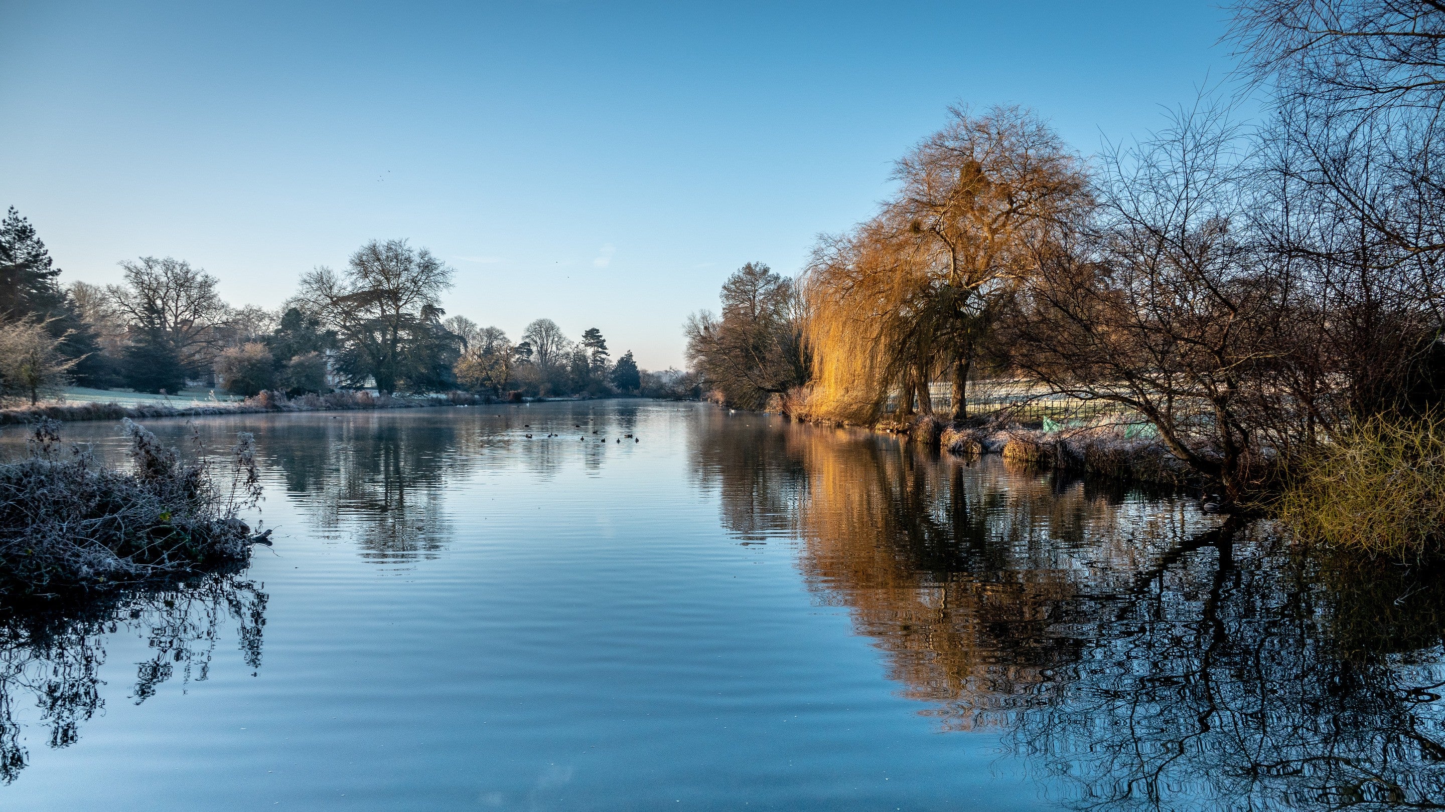 The Vyne's winter gardens reflect in the glassy surface of the lake.