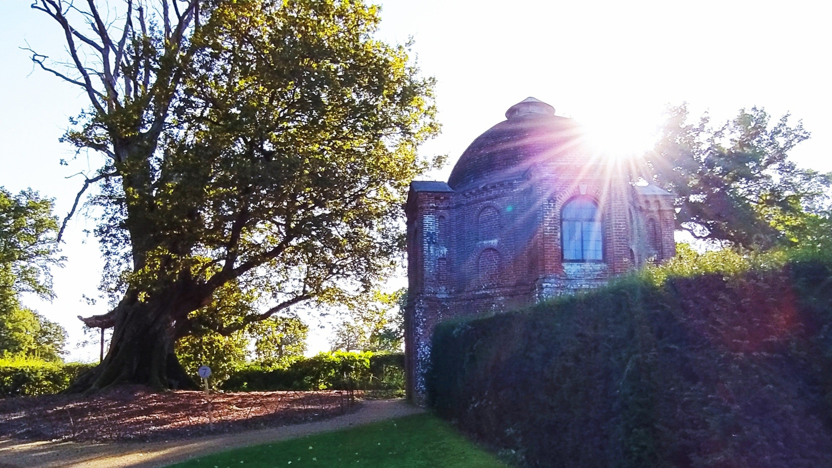 The Summerhouse and Hundred Guinea Oak in the gardens at The Vyne, Hampshire