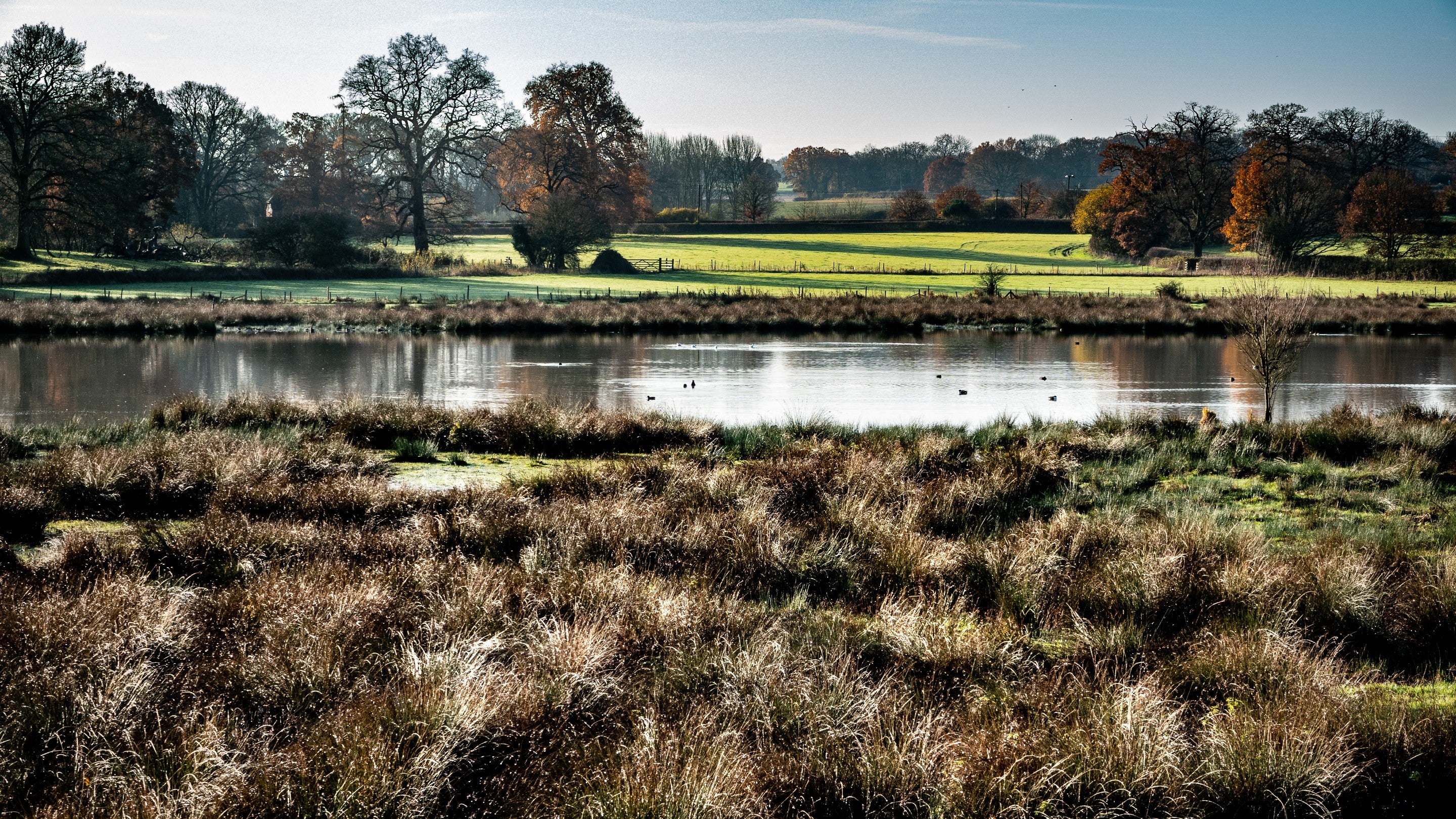 The wetlands in winter at The Vyne in Hampshire