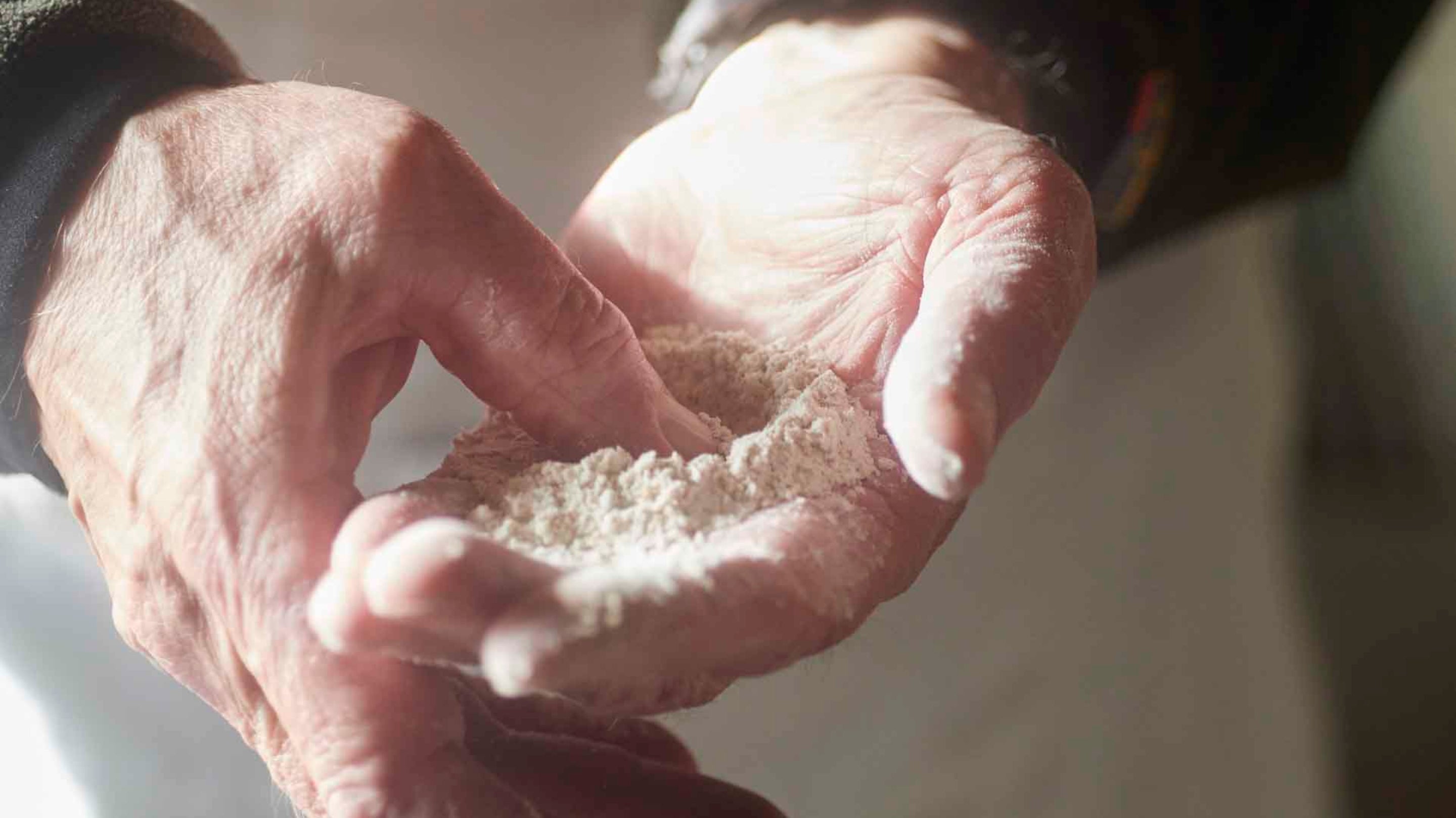 Volunteer holding stoneground wholemeal flour made at Winchester City Mill, Hampshire
