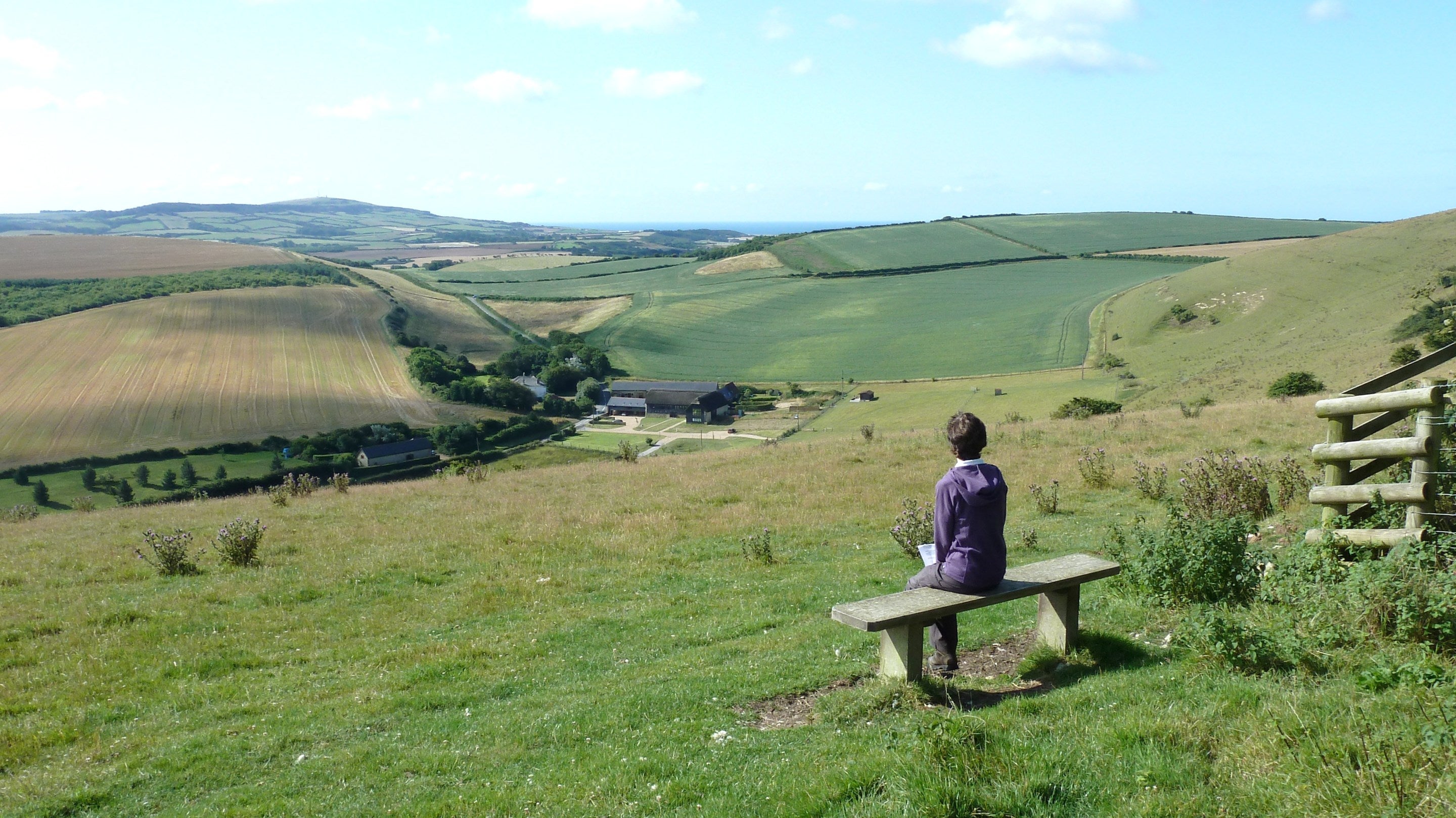 A fine vantage point overlooking Chillerton Down from the east
