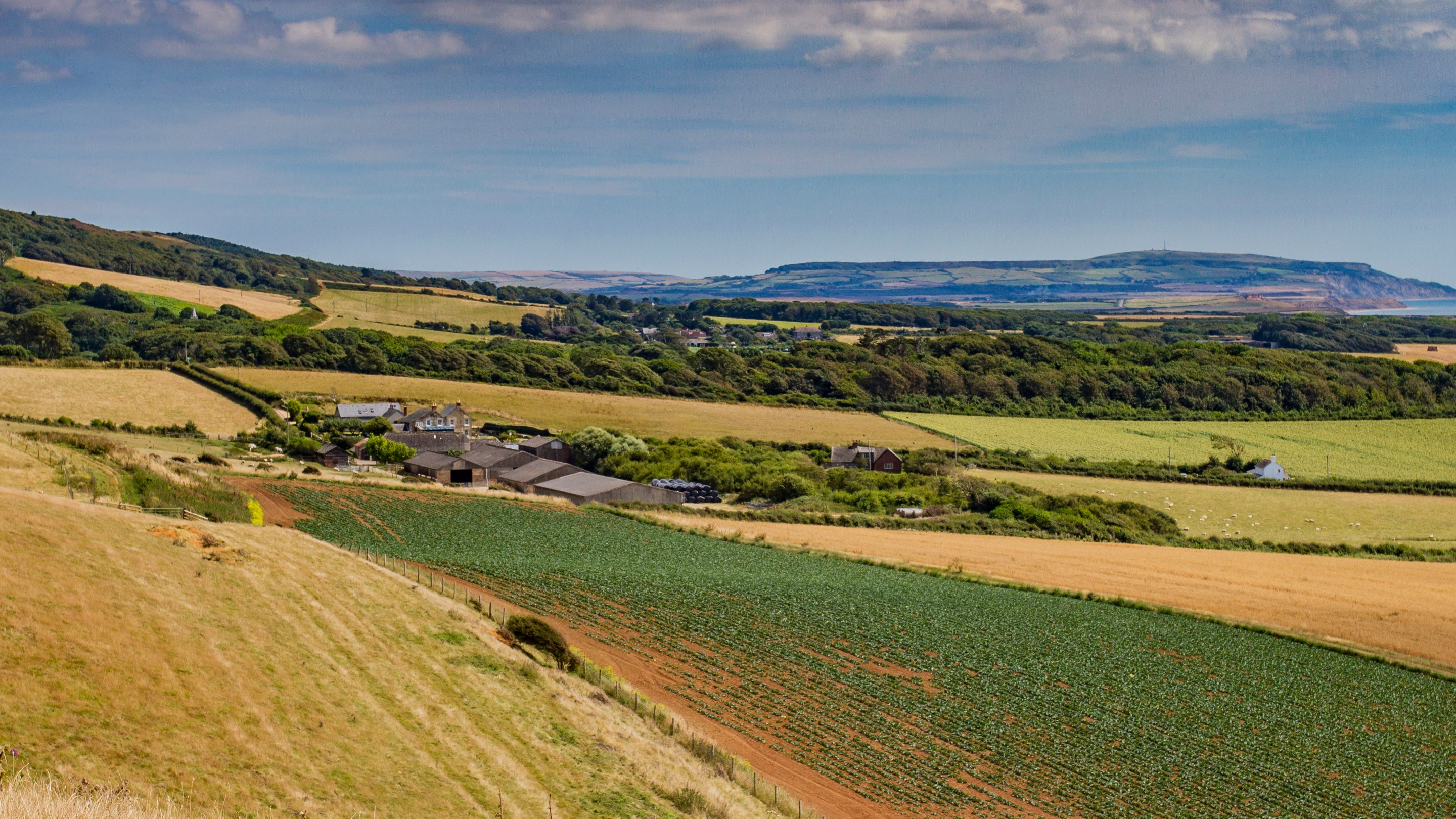 A long view over the fields of Dunsbury and Dunsbury farm, to St Catherine's Down in the far distance