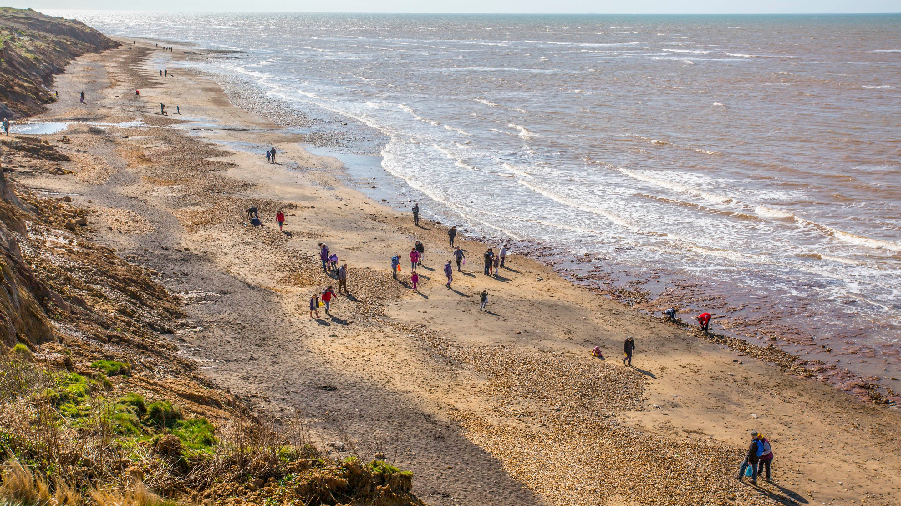 About twenty people scour the beach at Compton for fossils fallen from the cliffs