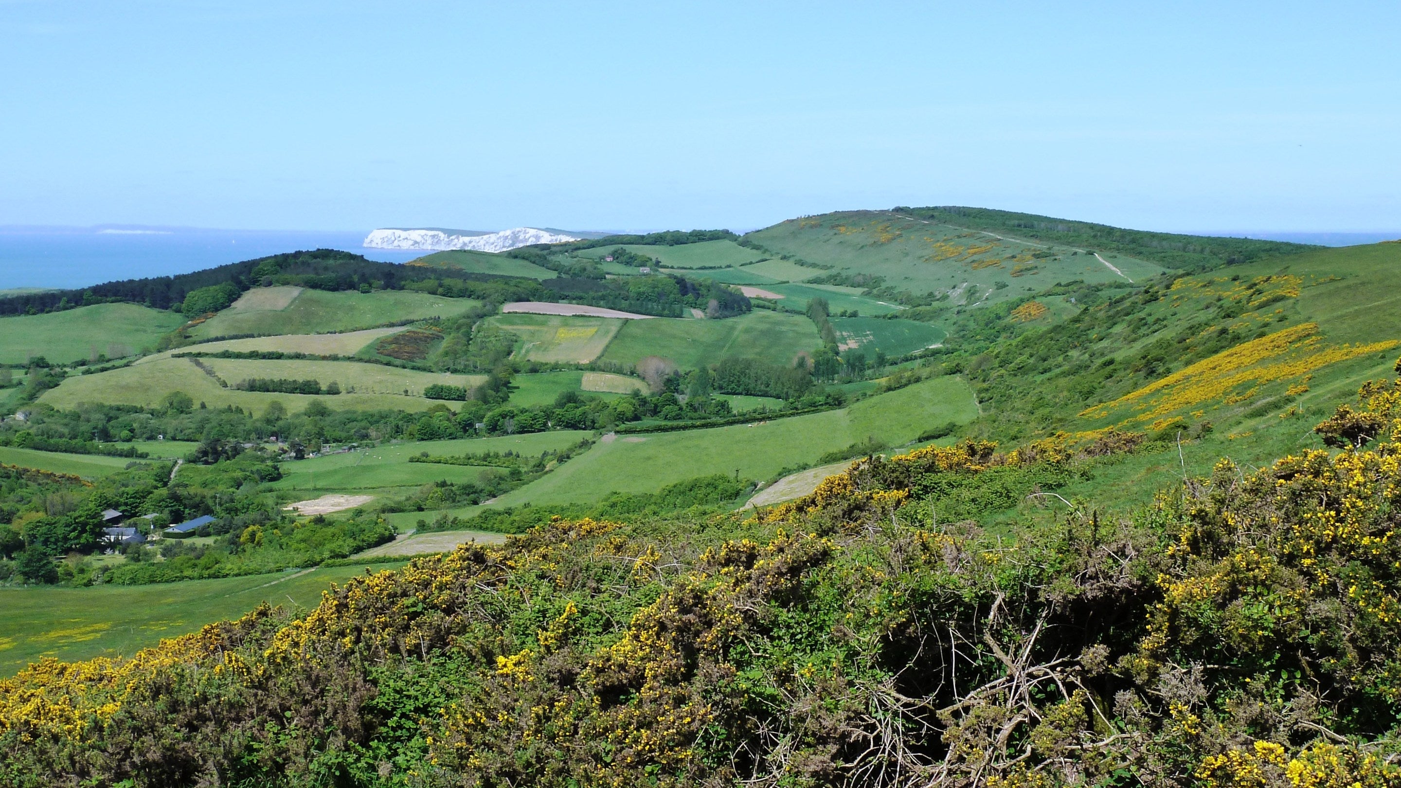 A summer view over Mottistone Common Down with green hills, yellow gorse and blue sea and sky