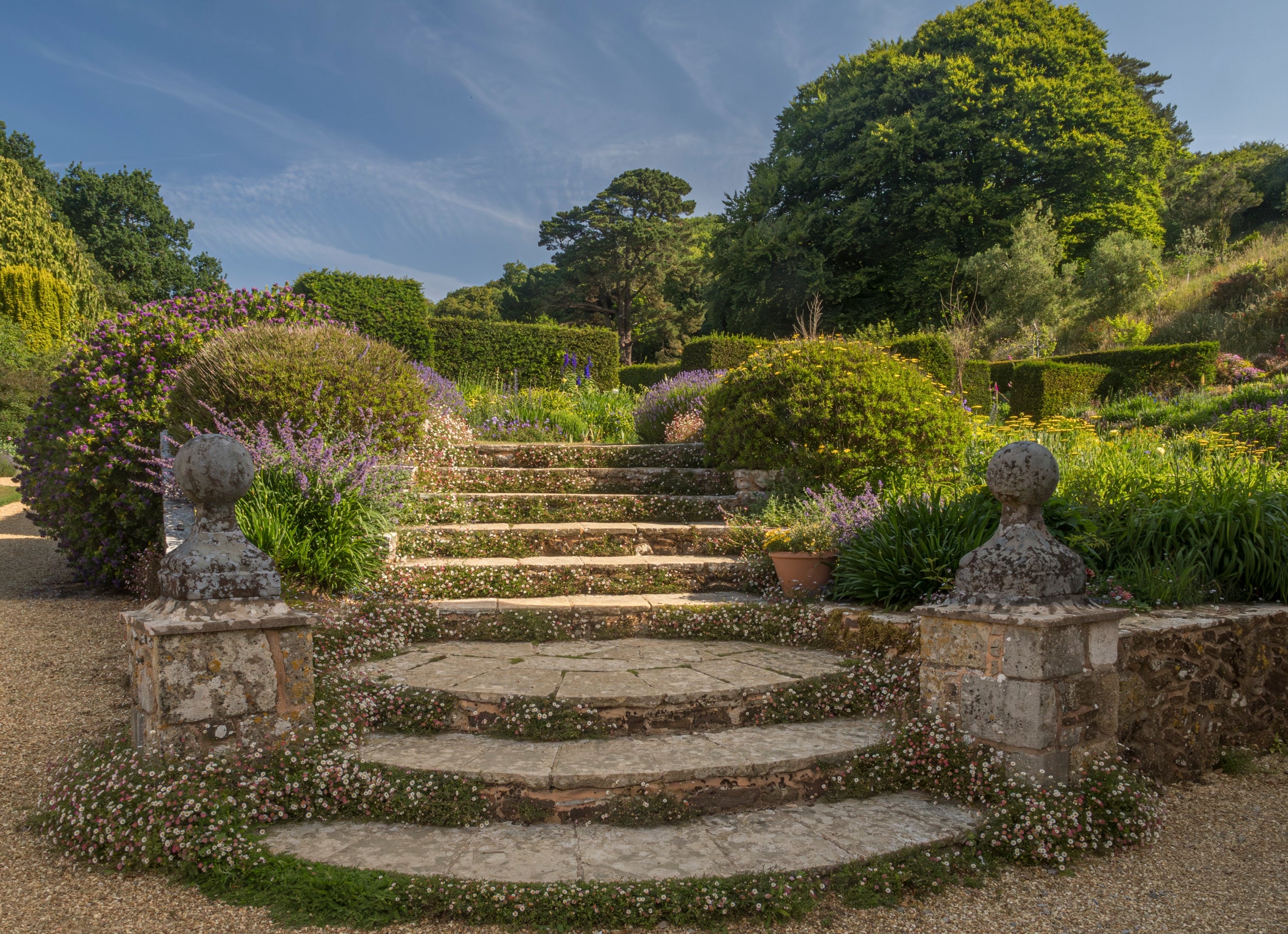 Image of stone steps and flowers around the edges