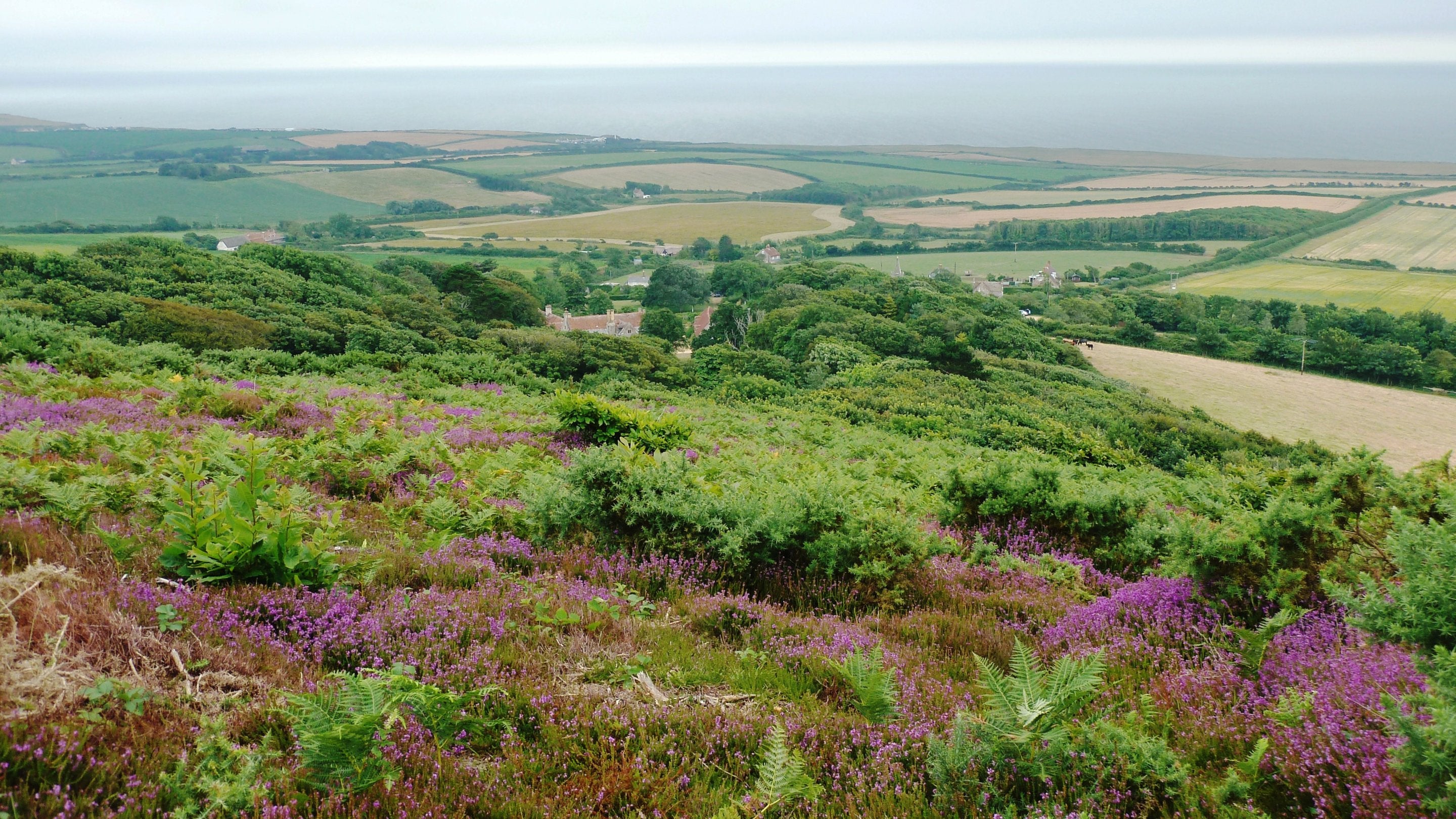 A view of the extensive Mottistone estate from the vantage point of Mottistone Common