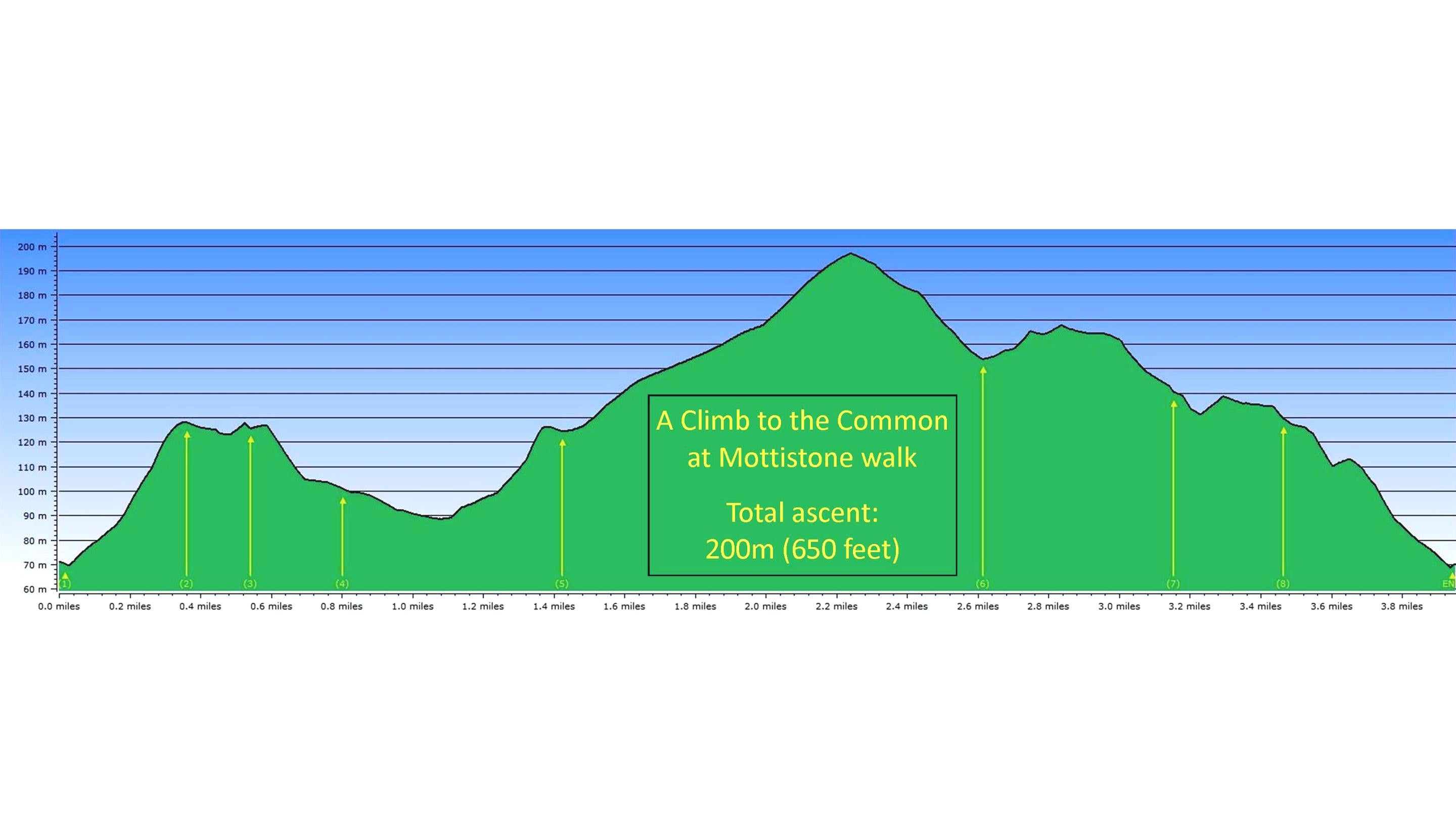 Climb to the Common at Mottistone walking trail elevation profile