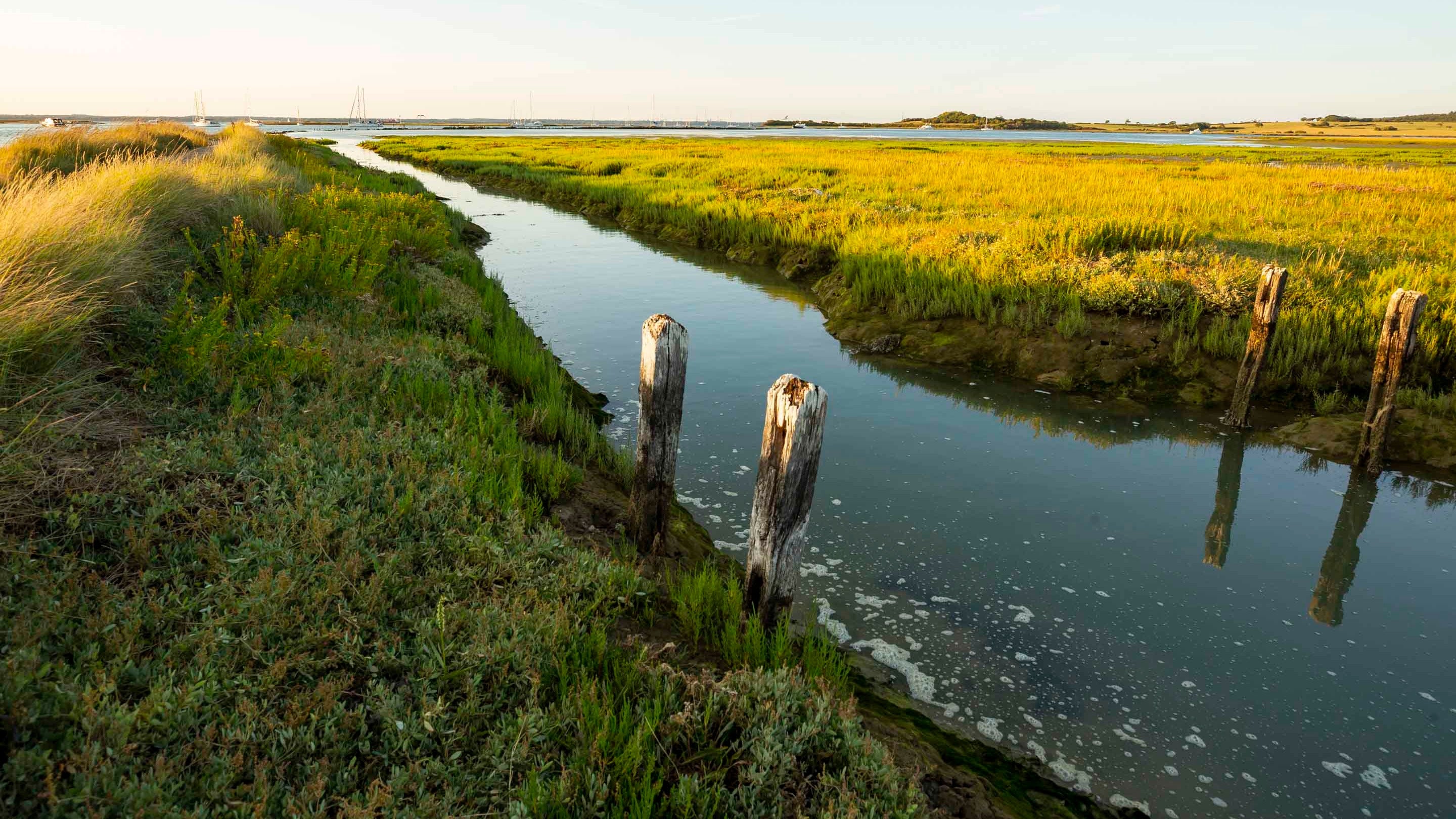 Water channel in the marsh, between low banks, with four large wooden posts in the water, at Newtown National Nature Reserve, Isle of Wight