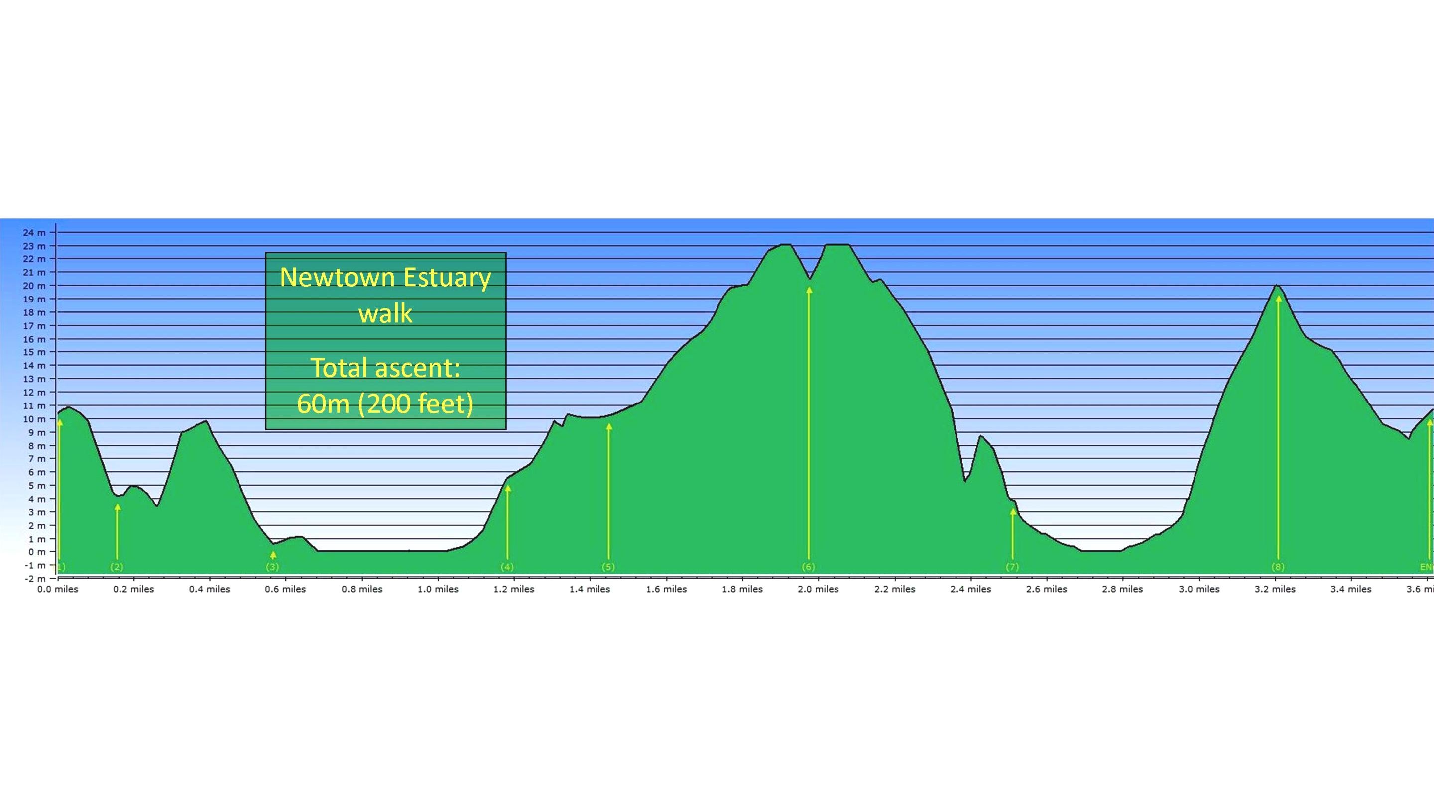 Newtown Estuary walk elevation profile