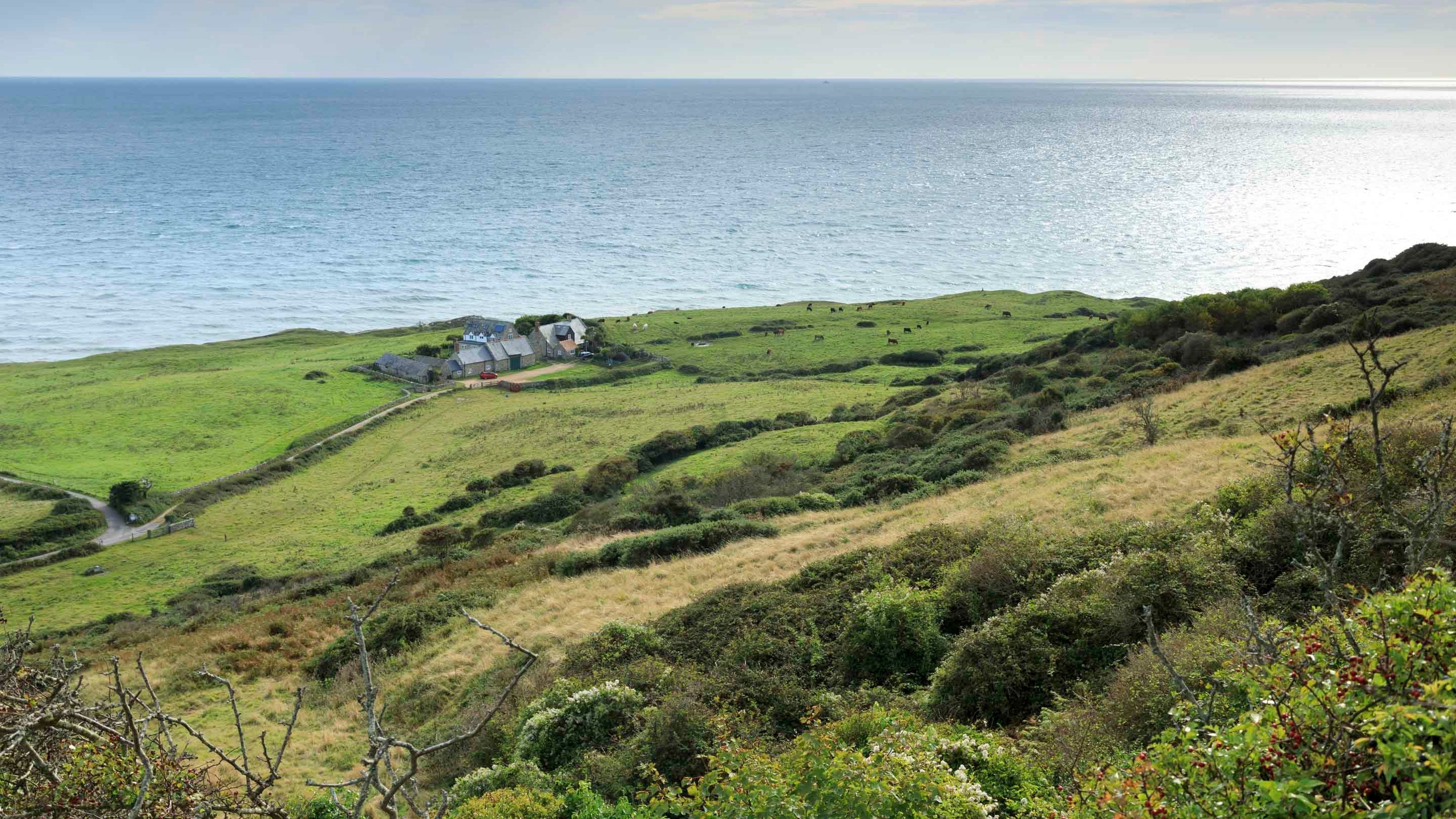 View over grassy fields and shrubs from Knowles Farm, at St Catherine's Down and Knowles Farm, Isle of Wight