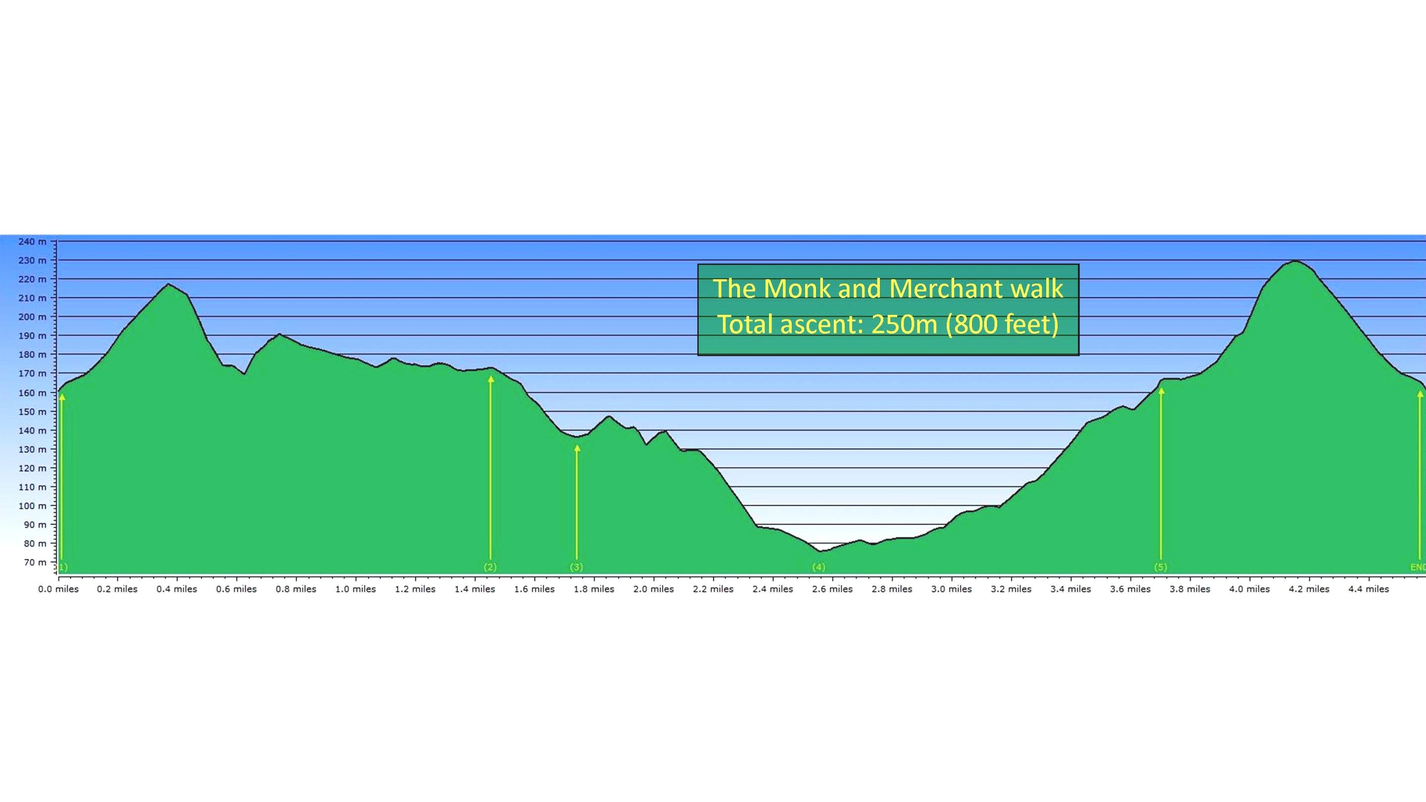 Elevation profile for The Monk and the Merchant walk at St Catherine's Down, Isle of Wight