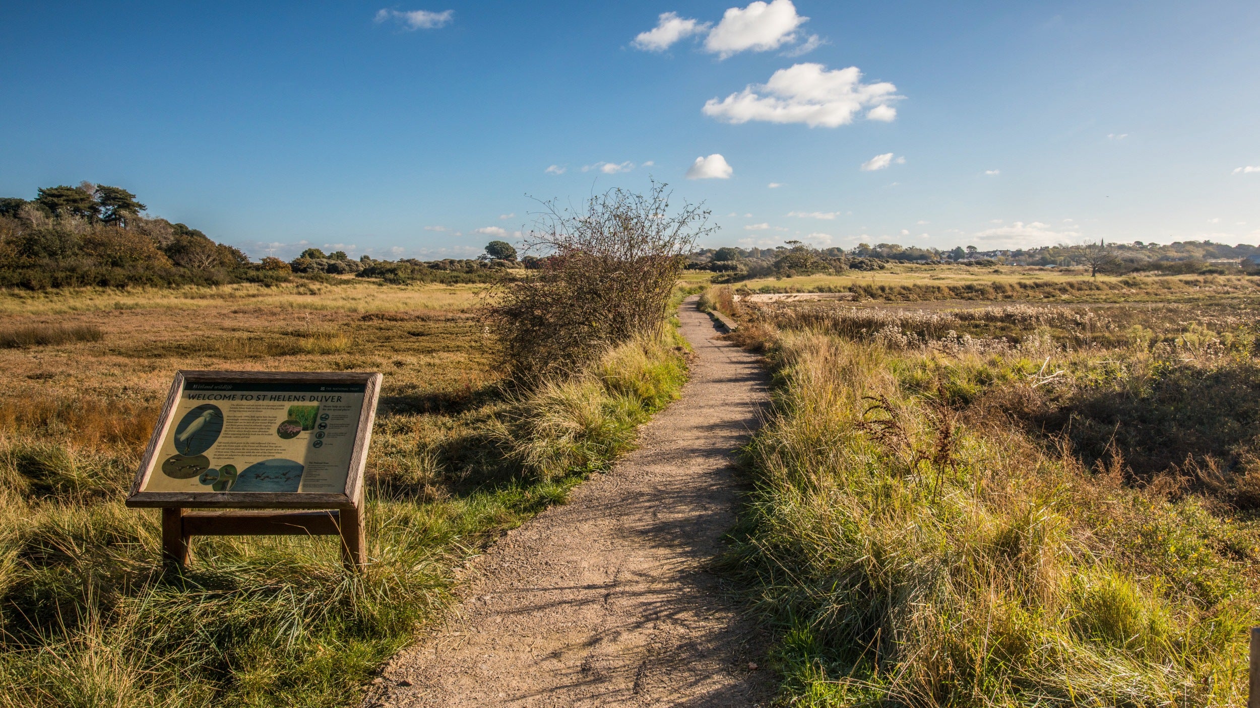 An interpretation sign next to a paved path through a flat marsh or meadow landscape on a sunny day with blue skies