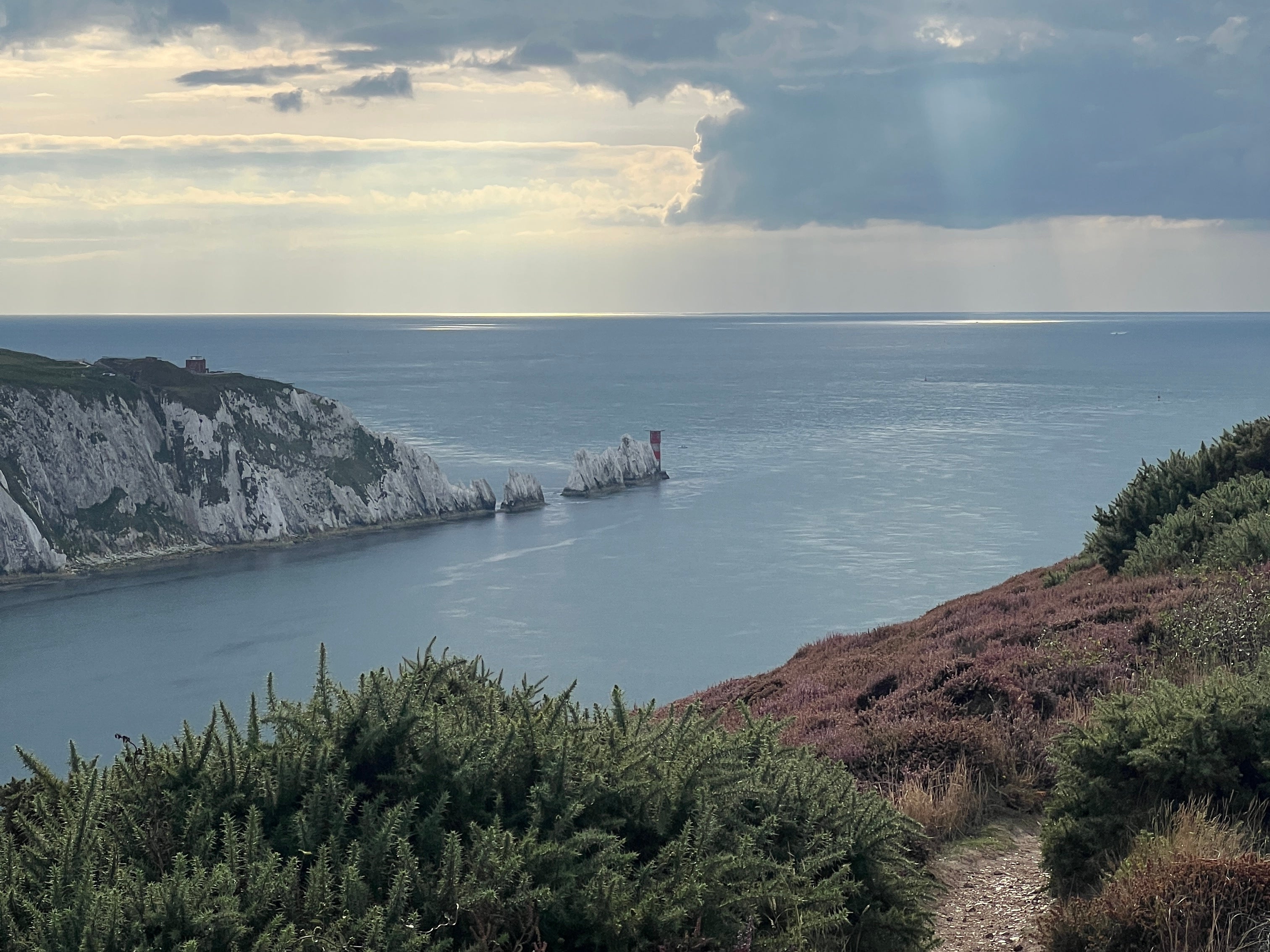 Image of purple heather on Headon Warren with the Needles in the background