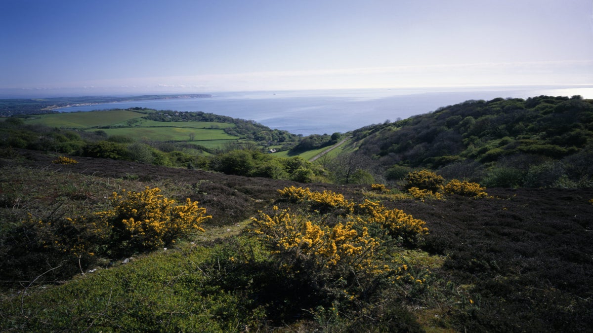 Ventnor's St Boniface │ Isle of Wight National Trust