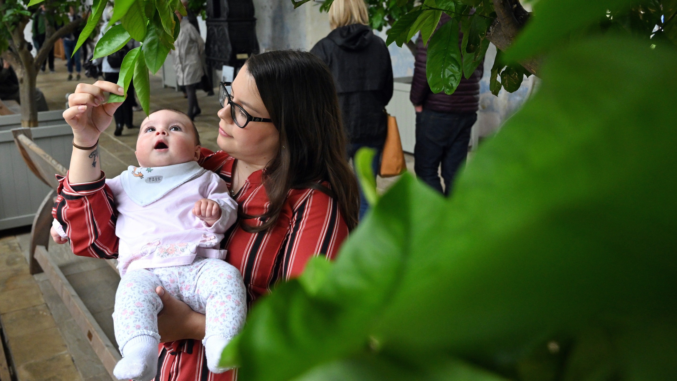 Mother and baby in the Orangery at Knole, the baby is looking curiously at a leaf dangling above their head