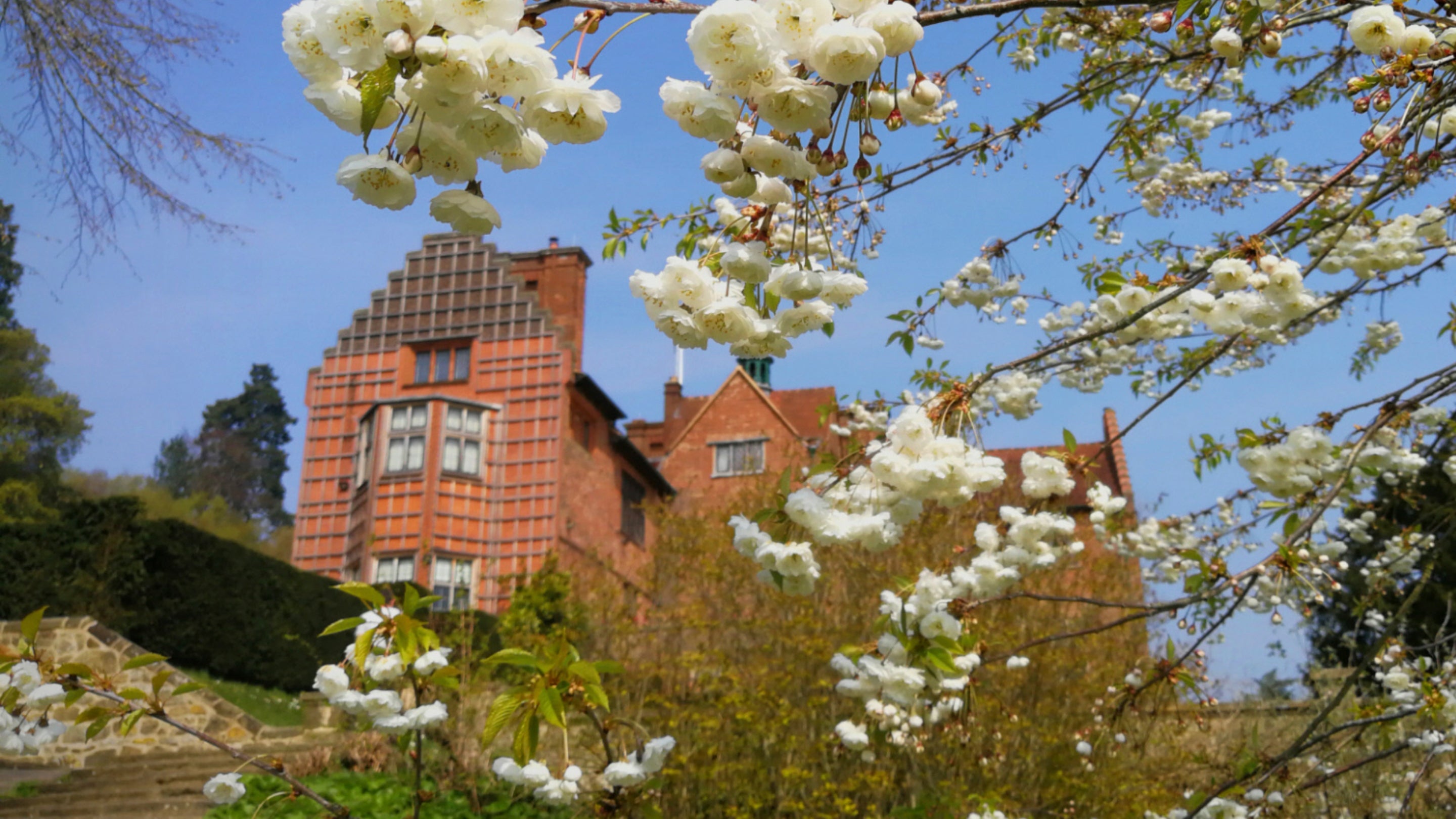 Apple blossom with the house in the background at Chartwell, Kent