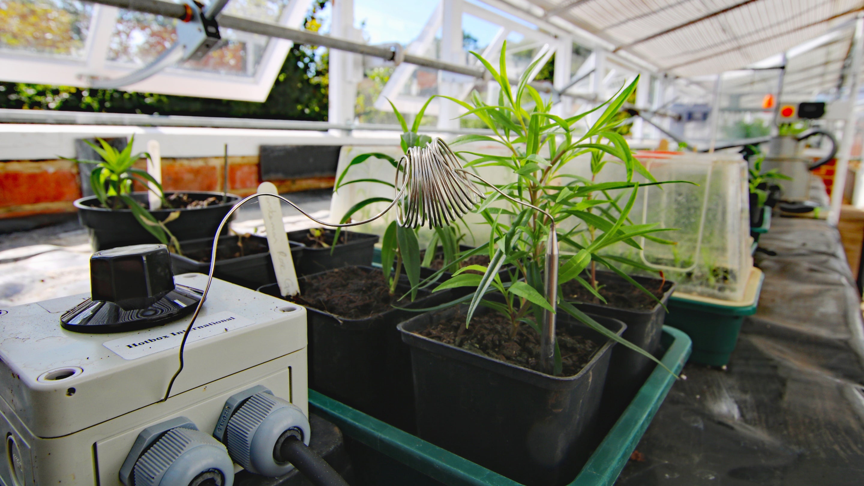 A look behind-the scenes at the low-energy bench targeted heat mats in the restored greenhouses at Chartwell, Kent.