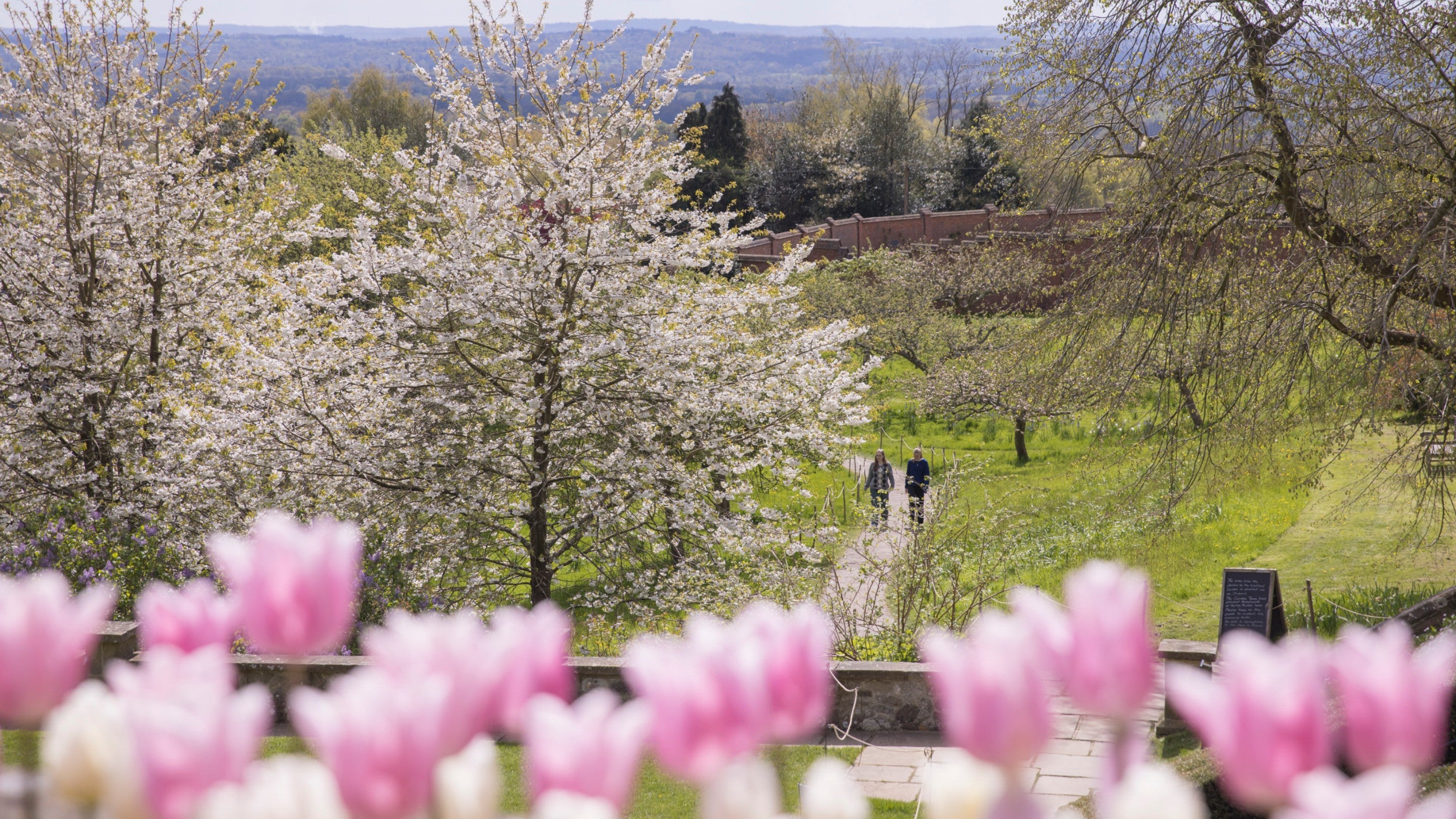 A view of the gardens at Chartwell and the Weald of Kent from the tulips planted on the Pink Terrace