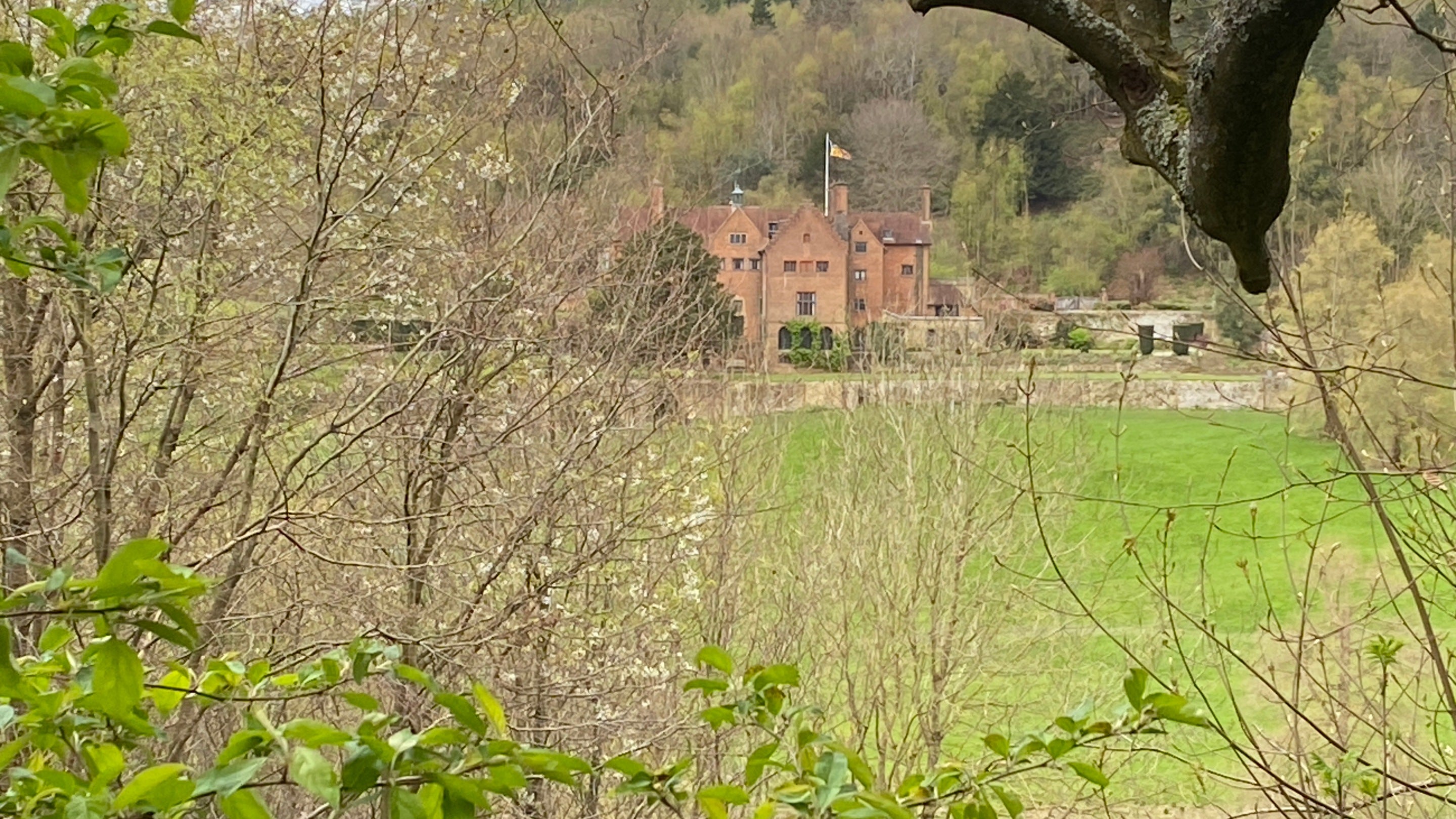 Springtime view of the house from the woodland on the estate.
