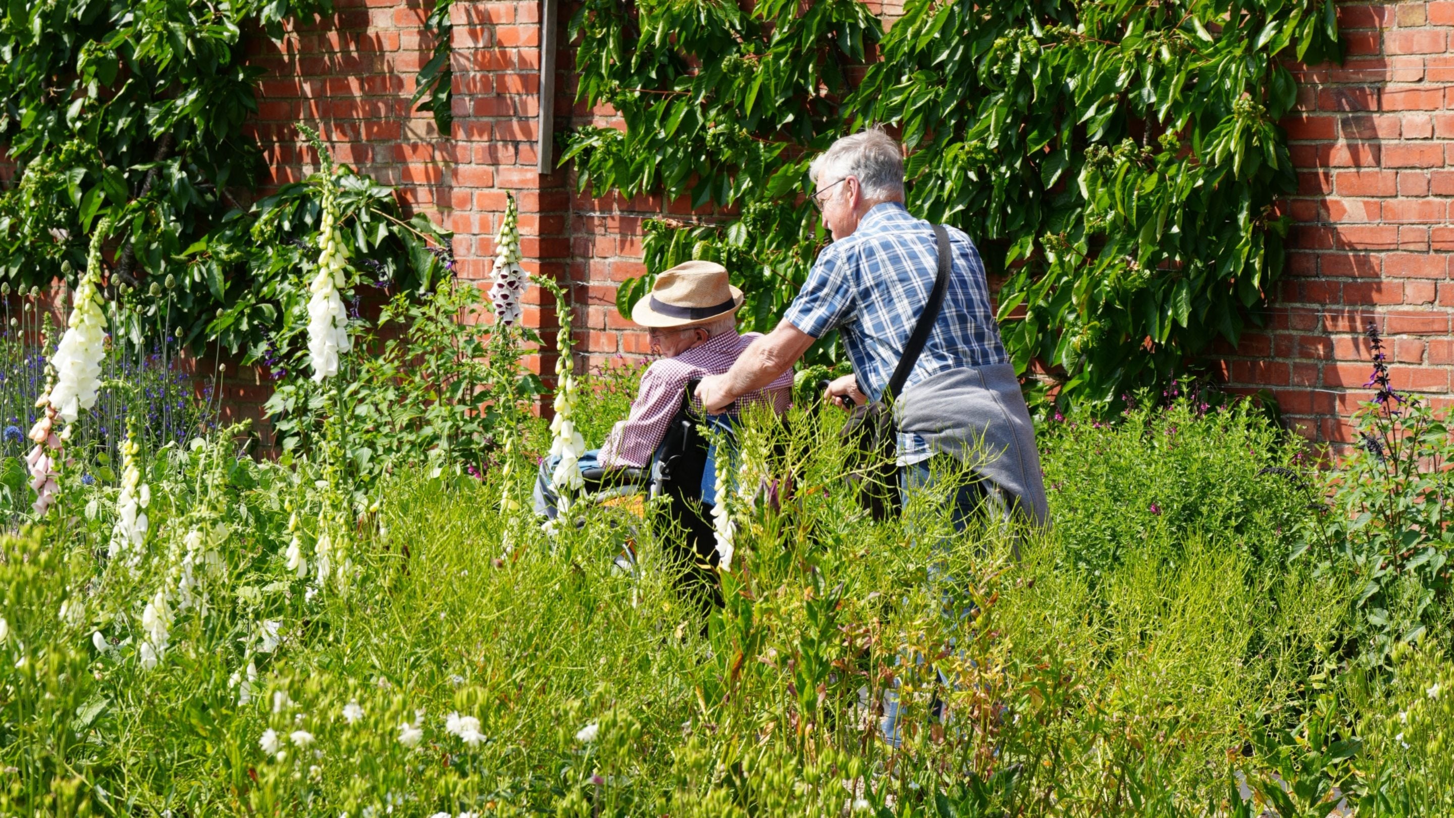 Visitor in a wheelchair is pushed by a carer in the Walled Garden at Chartwell, Kent