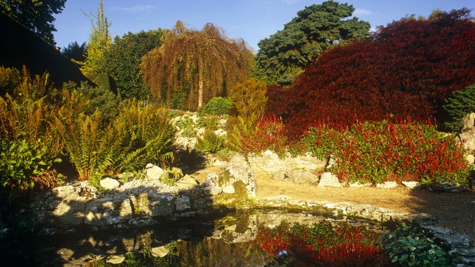 The Rock Garden at Emmetts Garden in Kent during October. The reds and oranges of the shrubs are reflected in the pond water.