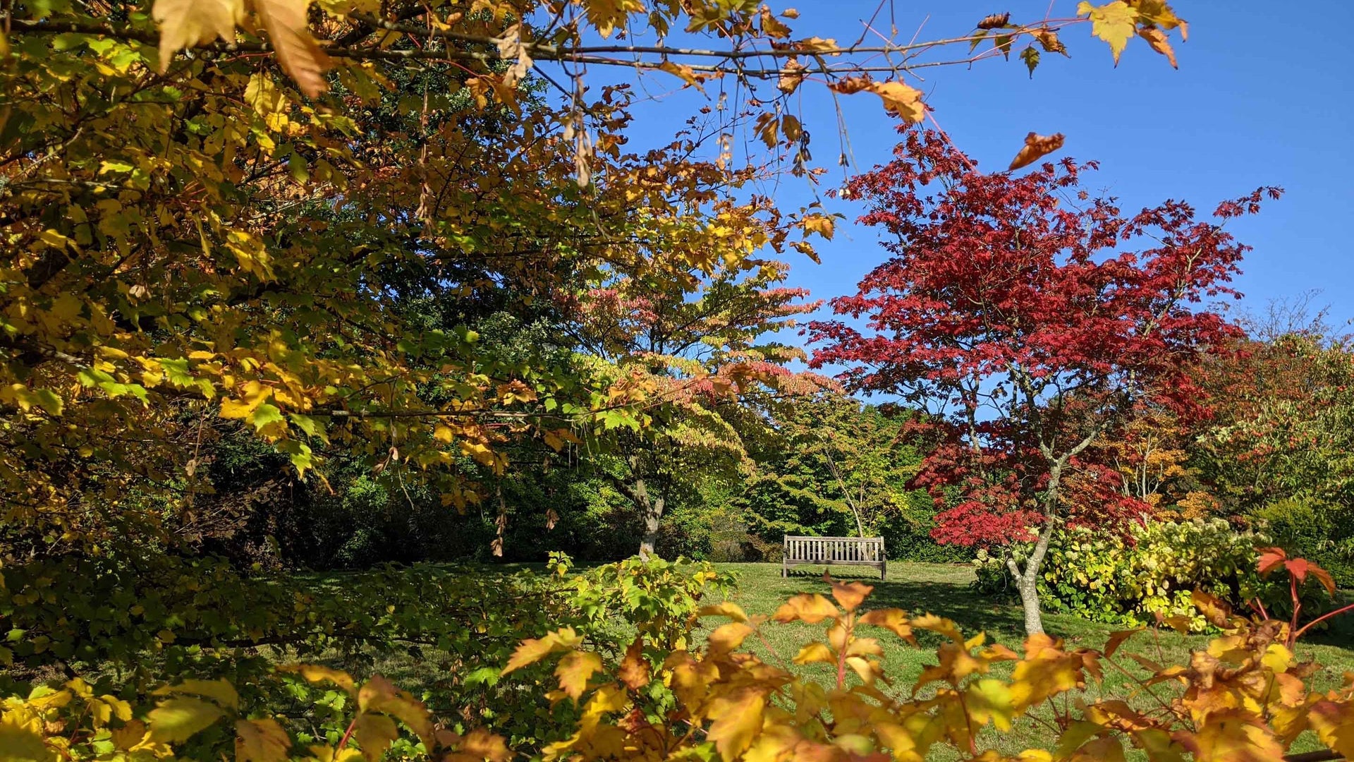 Emmetts Garden, from Emmetts Garden