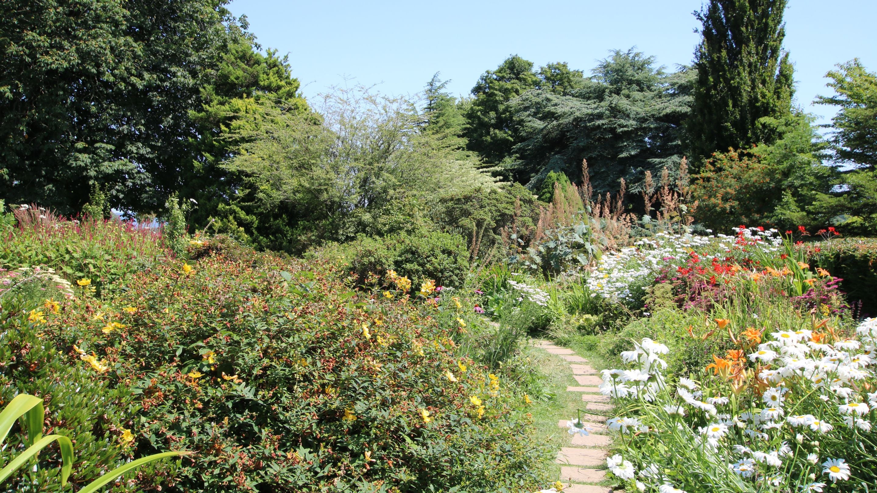 A summery view across the North Garden at Emmetts Garden bursting with different coloured flowers with a path running through the middle