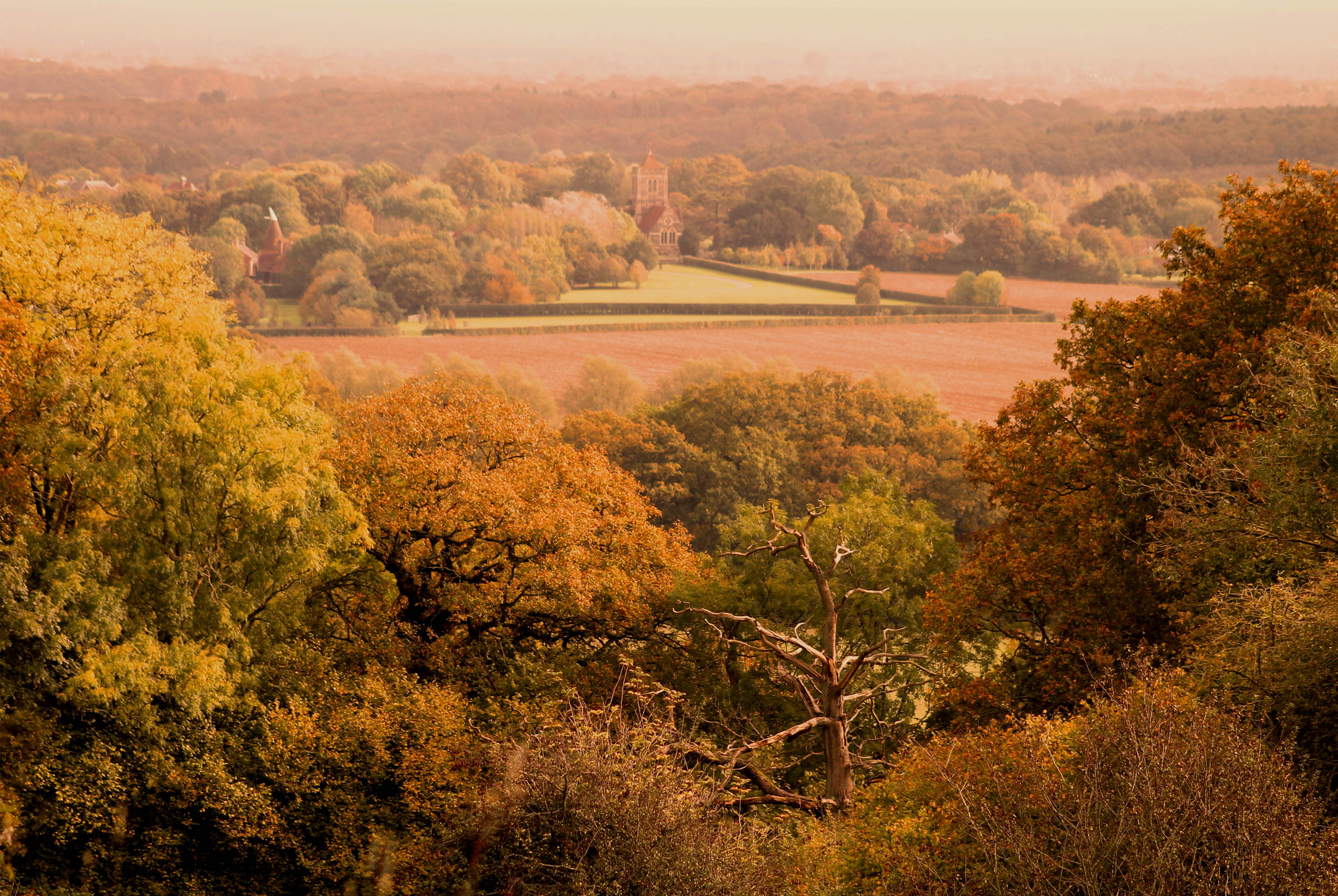 Countryside and woodland | Kent | National Trust