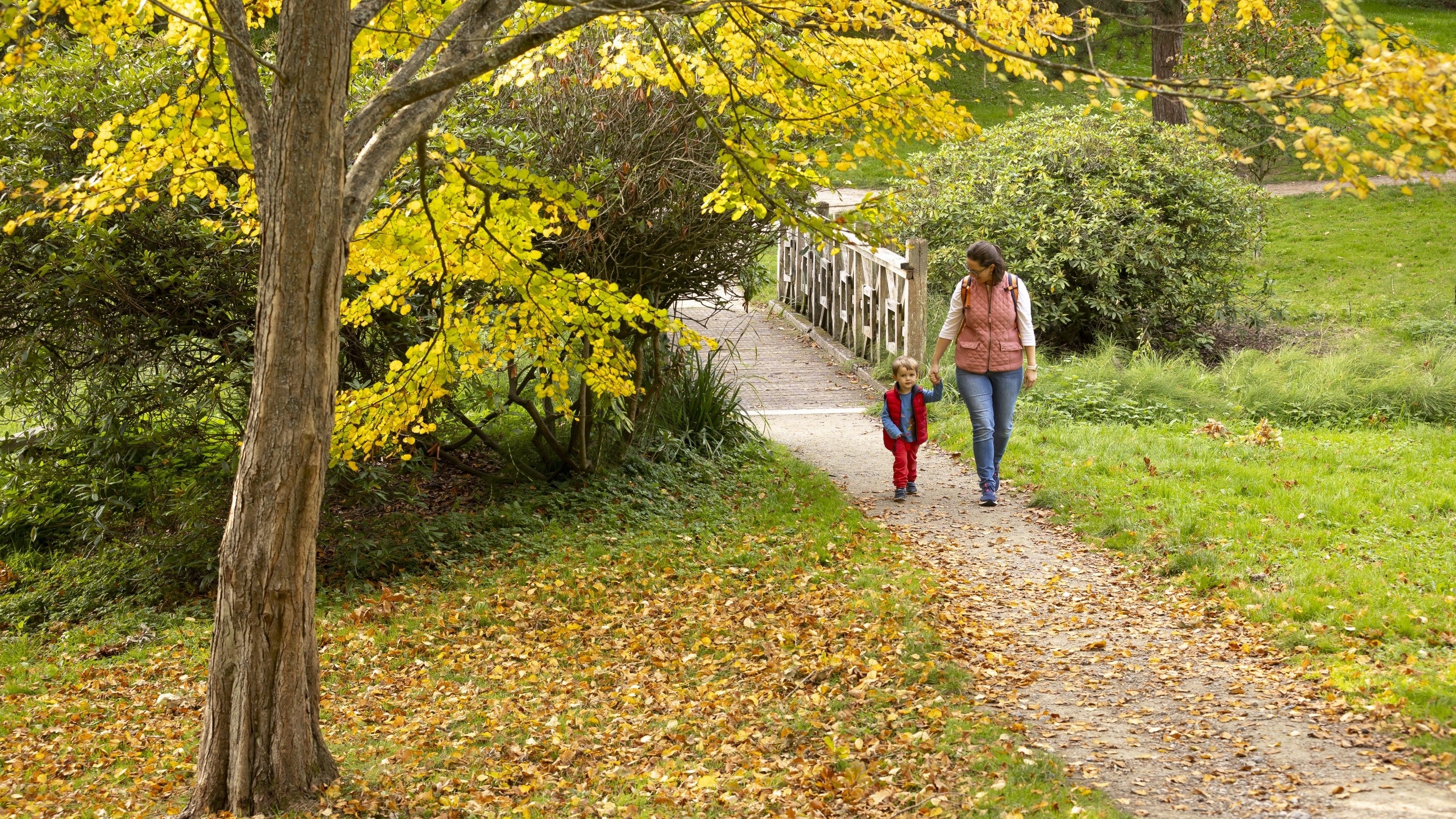 An adult holding the hand of a child, walking on a path between areas of grass. There are orange and yellow leaves covering the ground on the left and part of a tree trunk can be seen. There is a wooden bridge in the background.