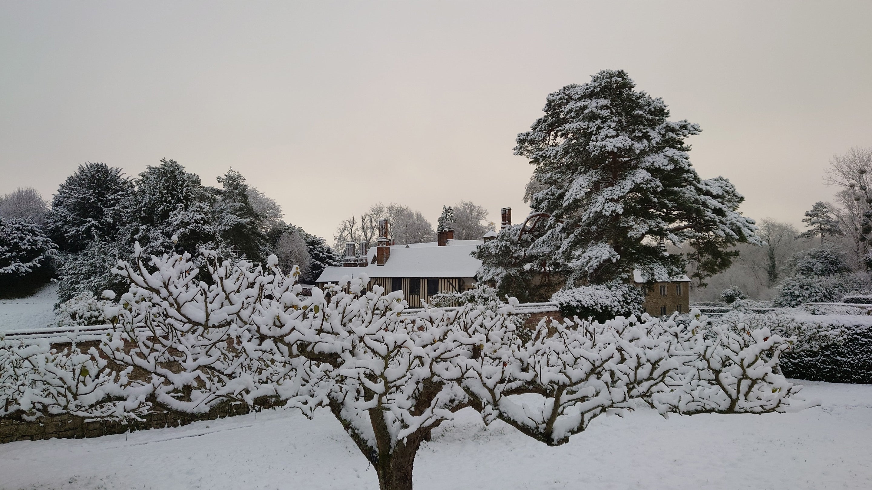A view of Ightham Mote and the orchard in the snow