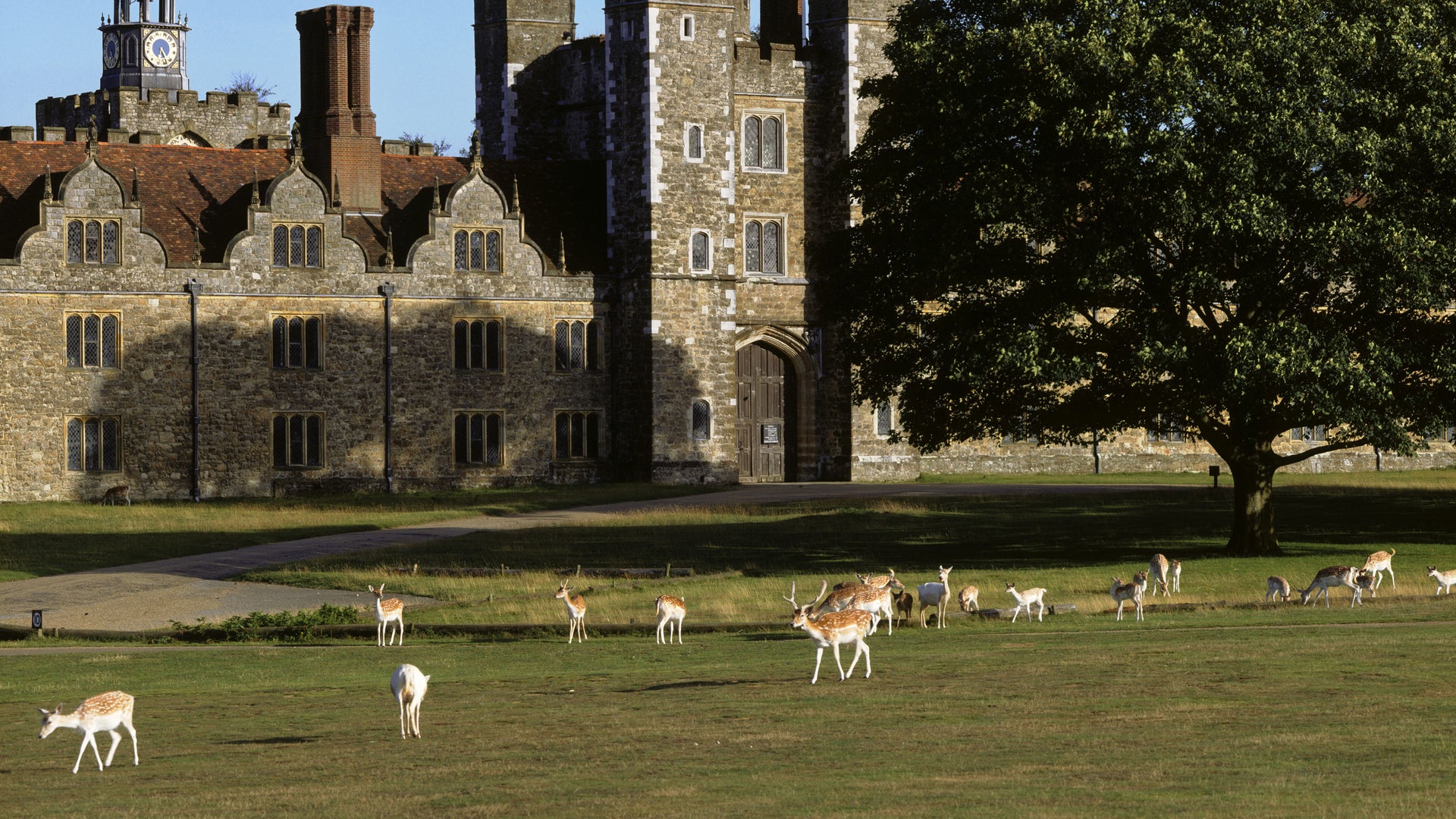 Knole, from Knole