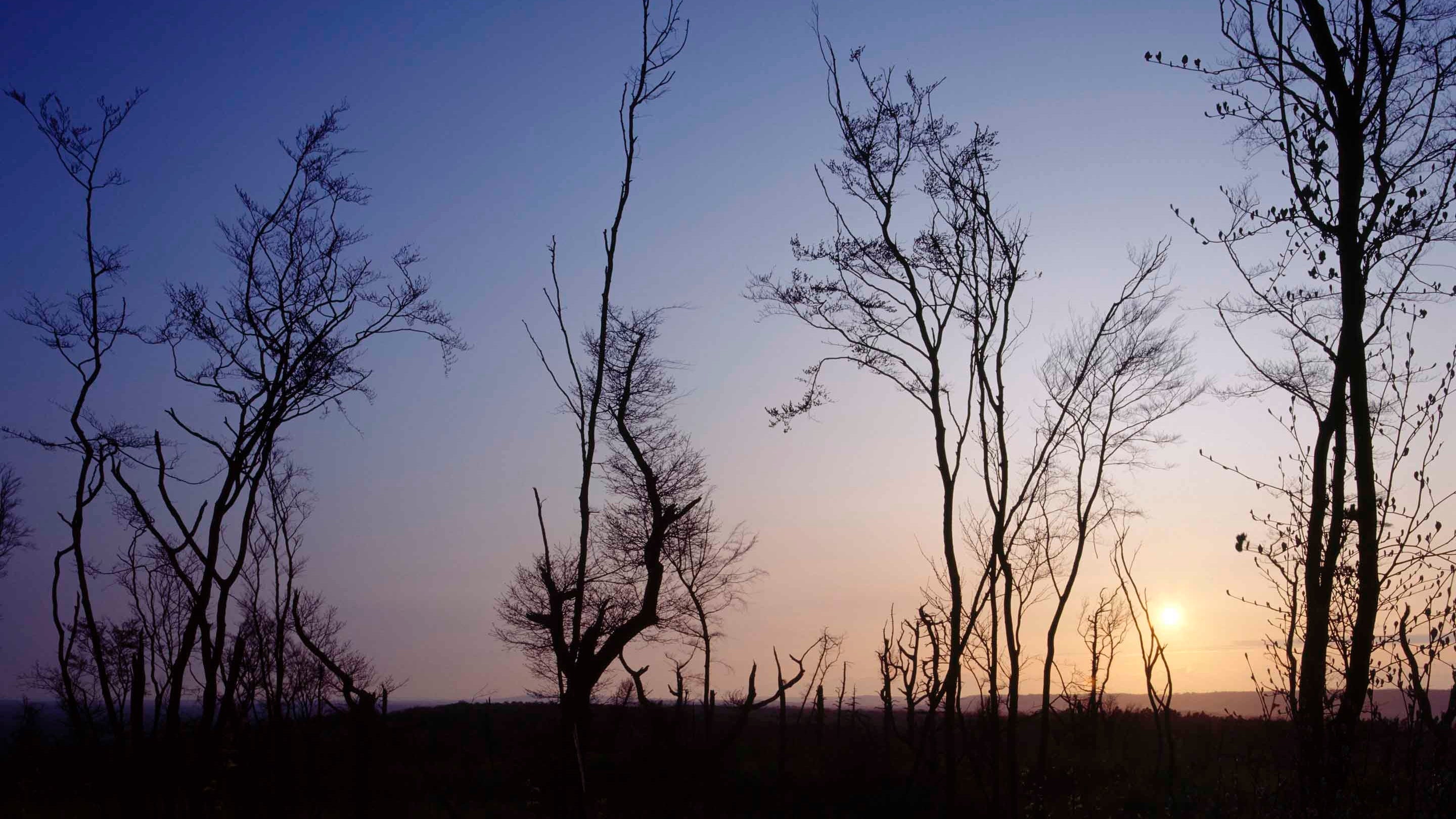 A view at twilight from One Tree Hill in Kent