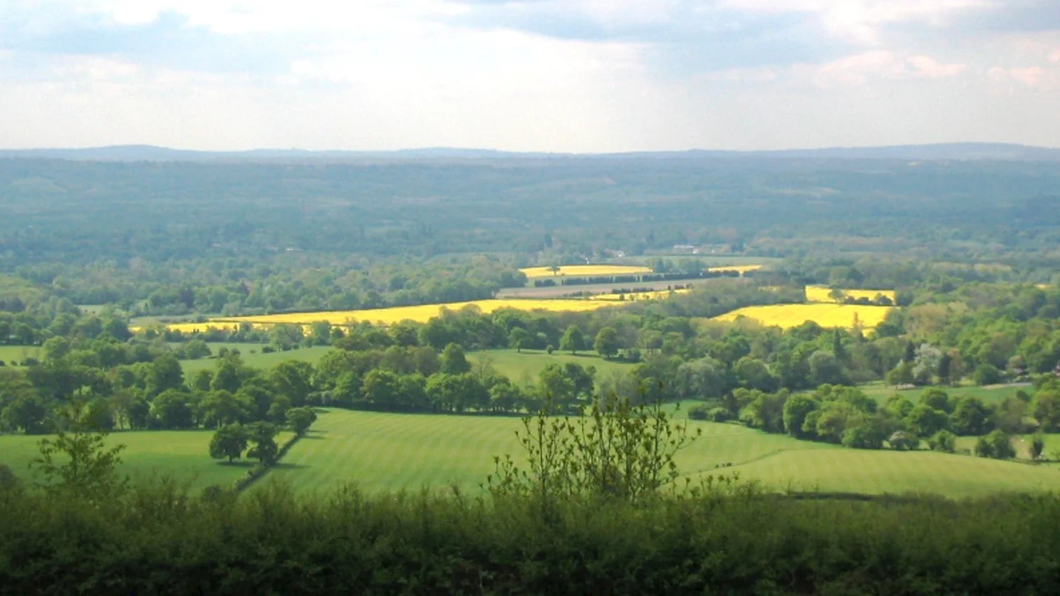 View over the Weald from One Tree Hill Kent